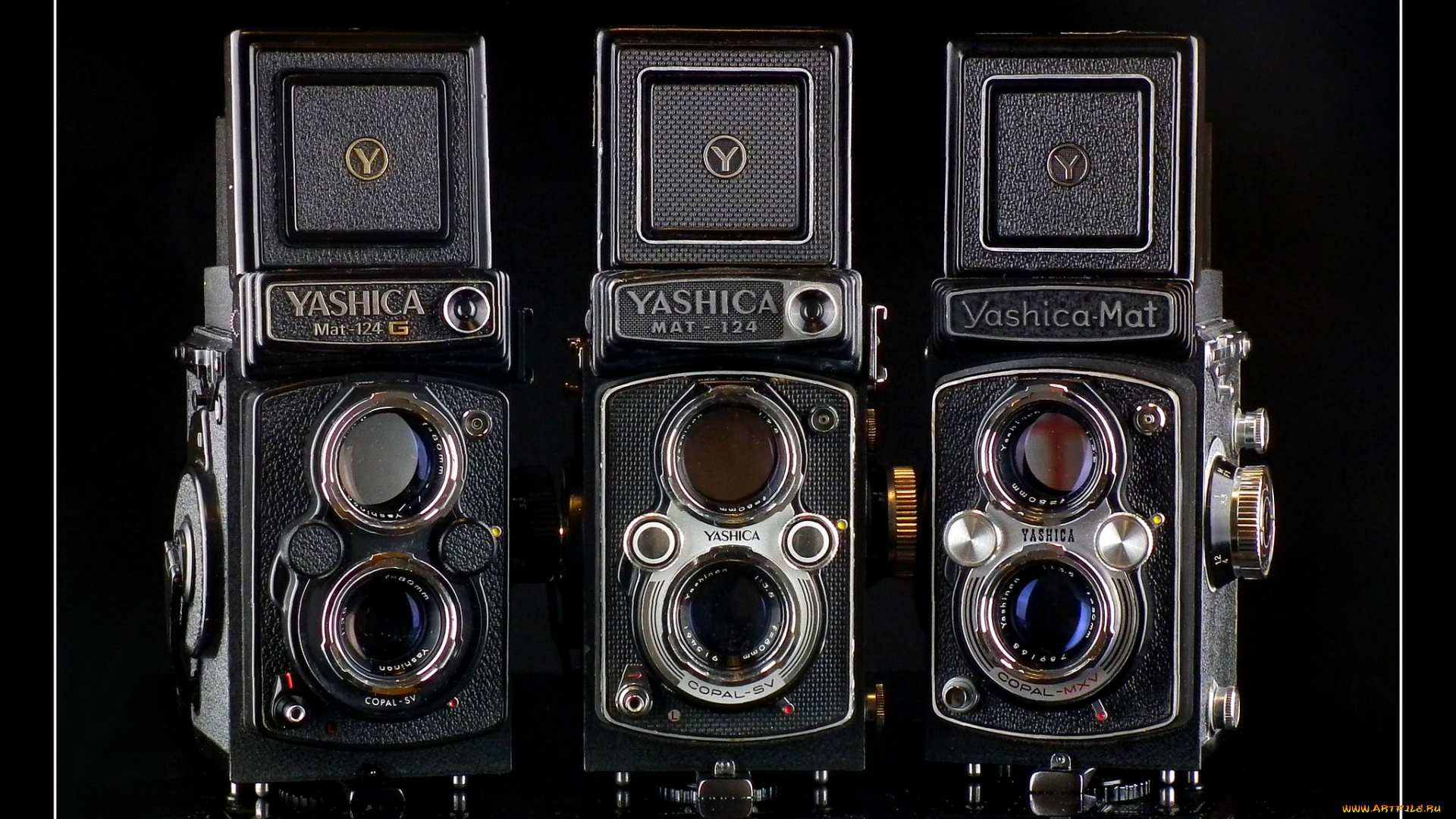 yashica, mat, family, бренды, бренды, фотоаппаратов, , разное, фотокамера