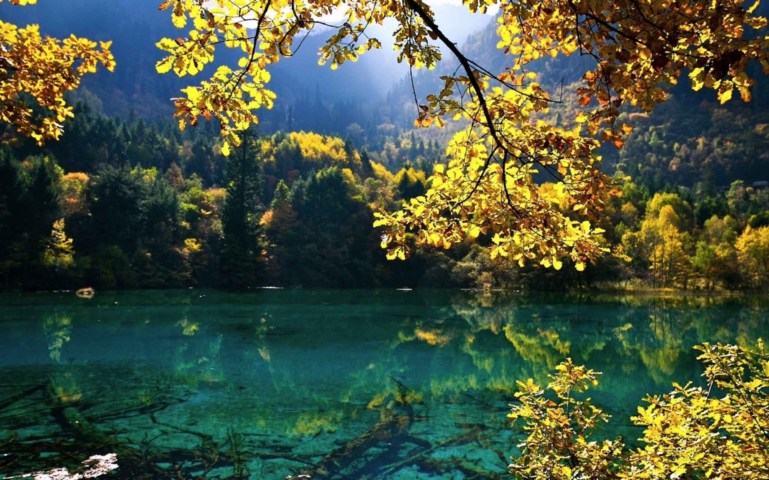 природа, реки, озера, горы, лес, деревья, озеро, ветки, осень