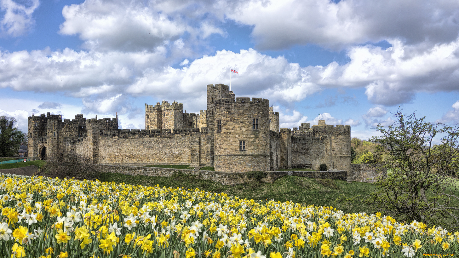 alnwick, castle, города, -, дворцы, , замки, , крепости, луг, замок, цветы