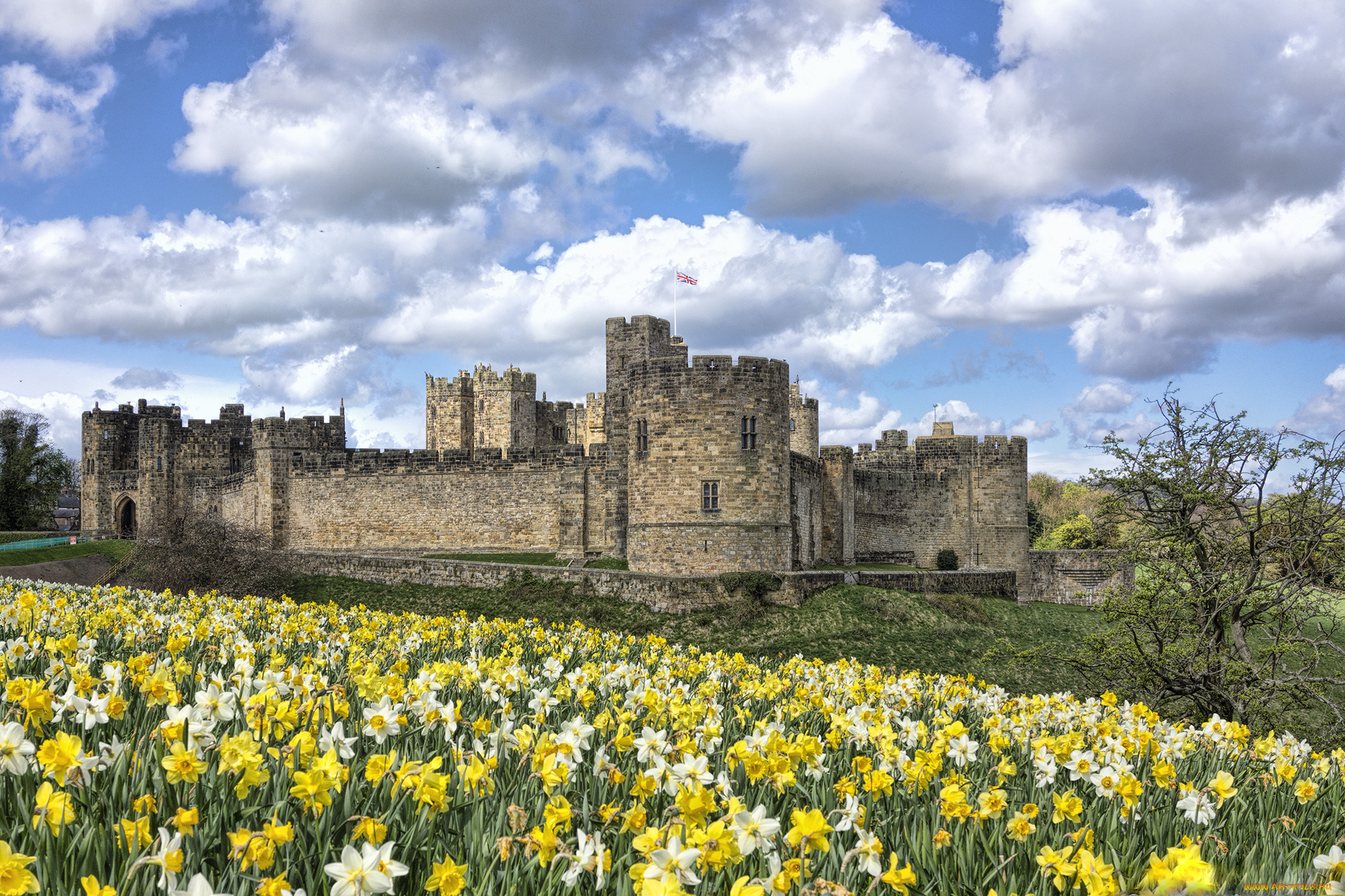 alnwick, castle, города, -, дворцы, , замки, , крепости, луг, замок, цветы