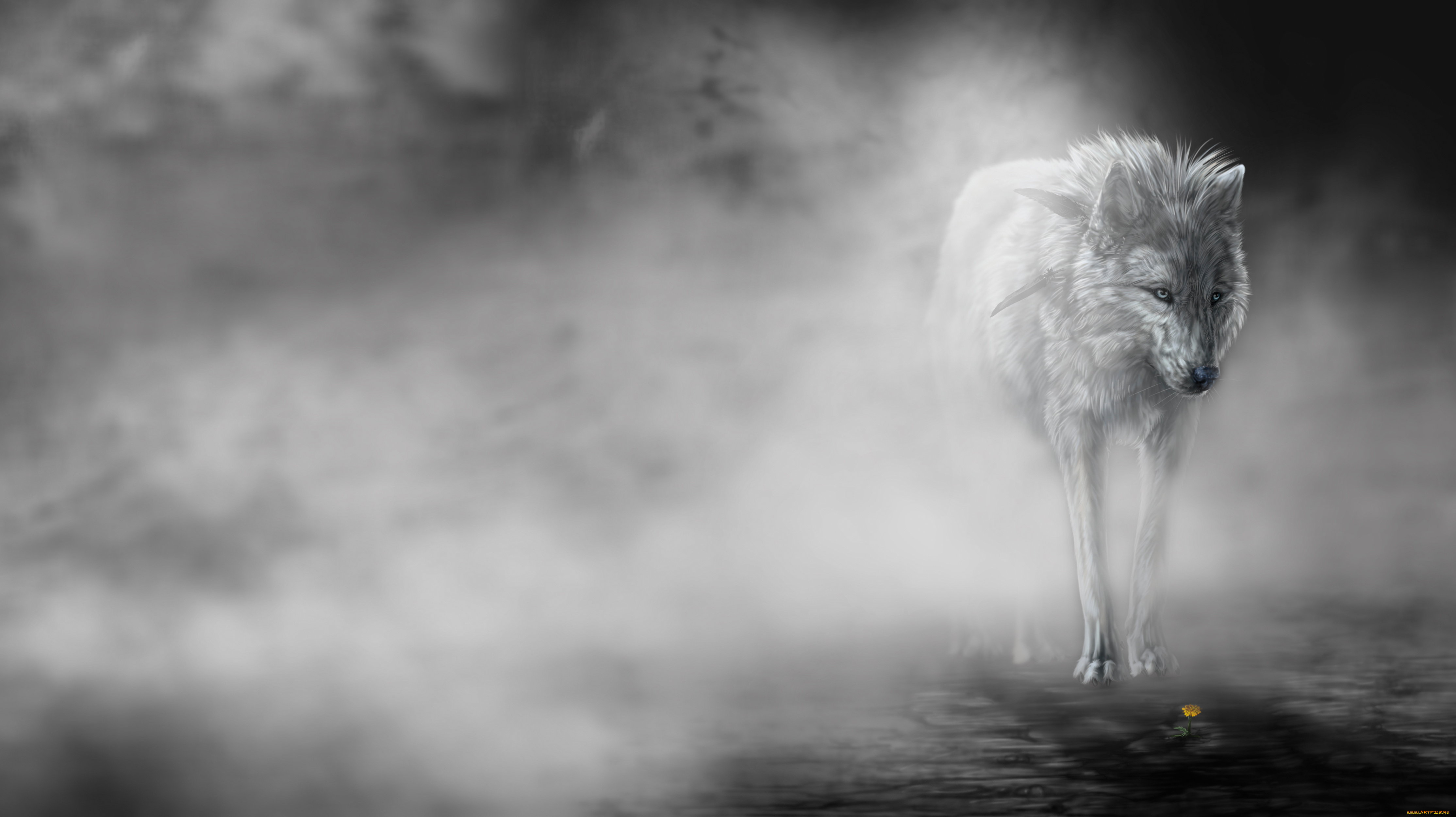 рисованные, животные, волки, туман