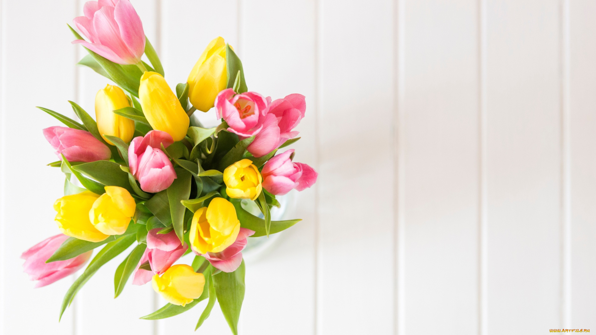 цветы, тюльпаны, желтые, fresh, розовые, весна, spring, yellow, букет, tender, tulips, pink, wood, flowers