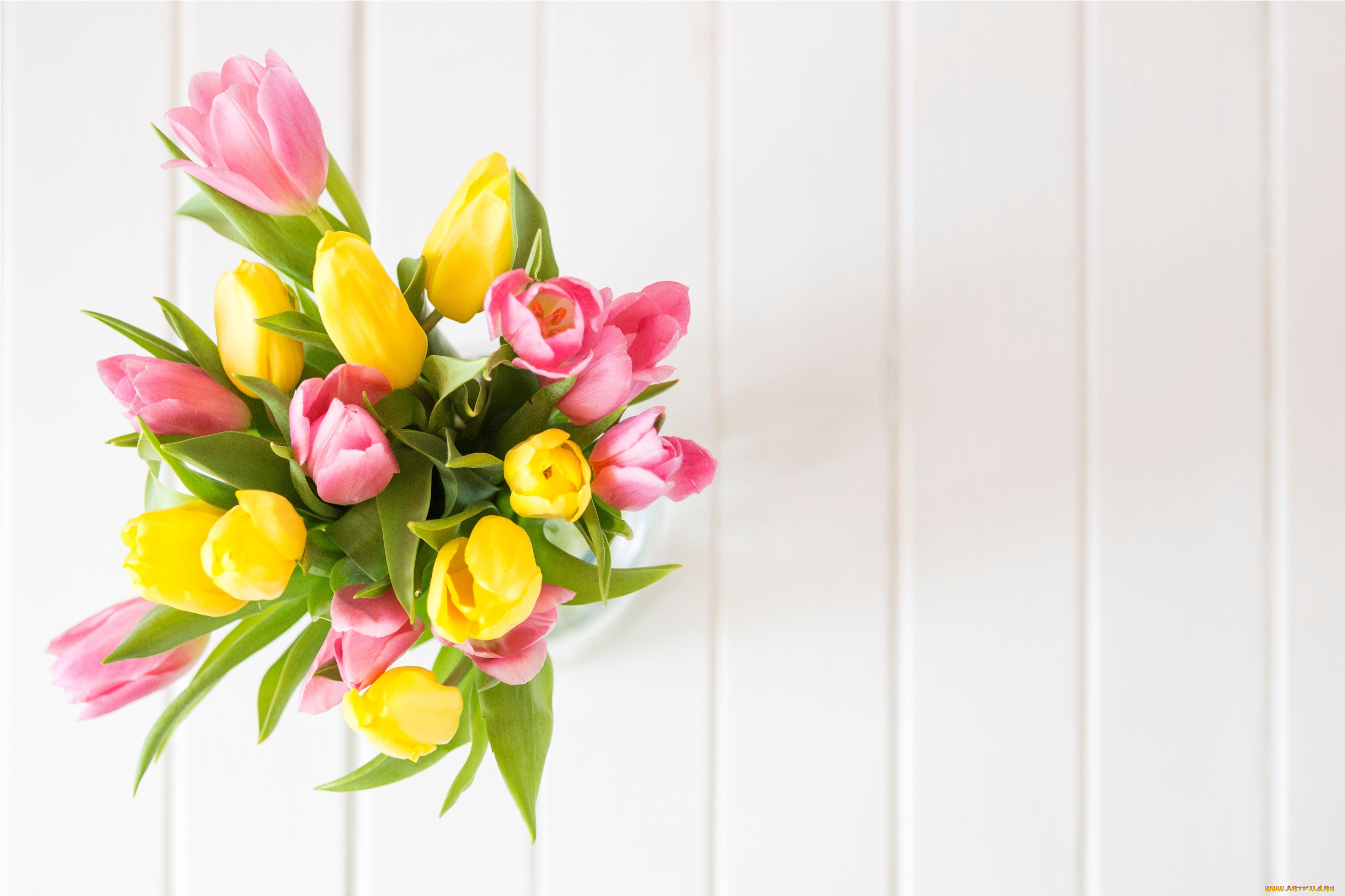 цветы, тюльпаны, желтые, fresh, розовые, весна, spring, yellow, букет, tender, tulips, pink, wood, flowers