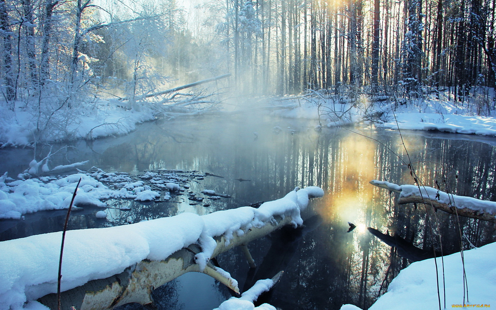 природа, зима, лес, река, снег