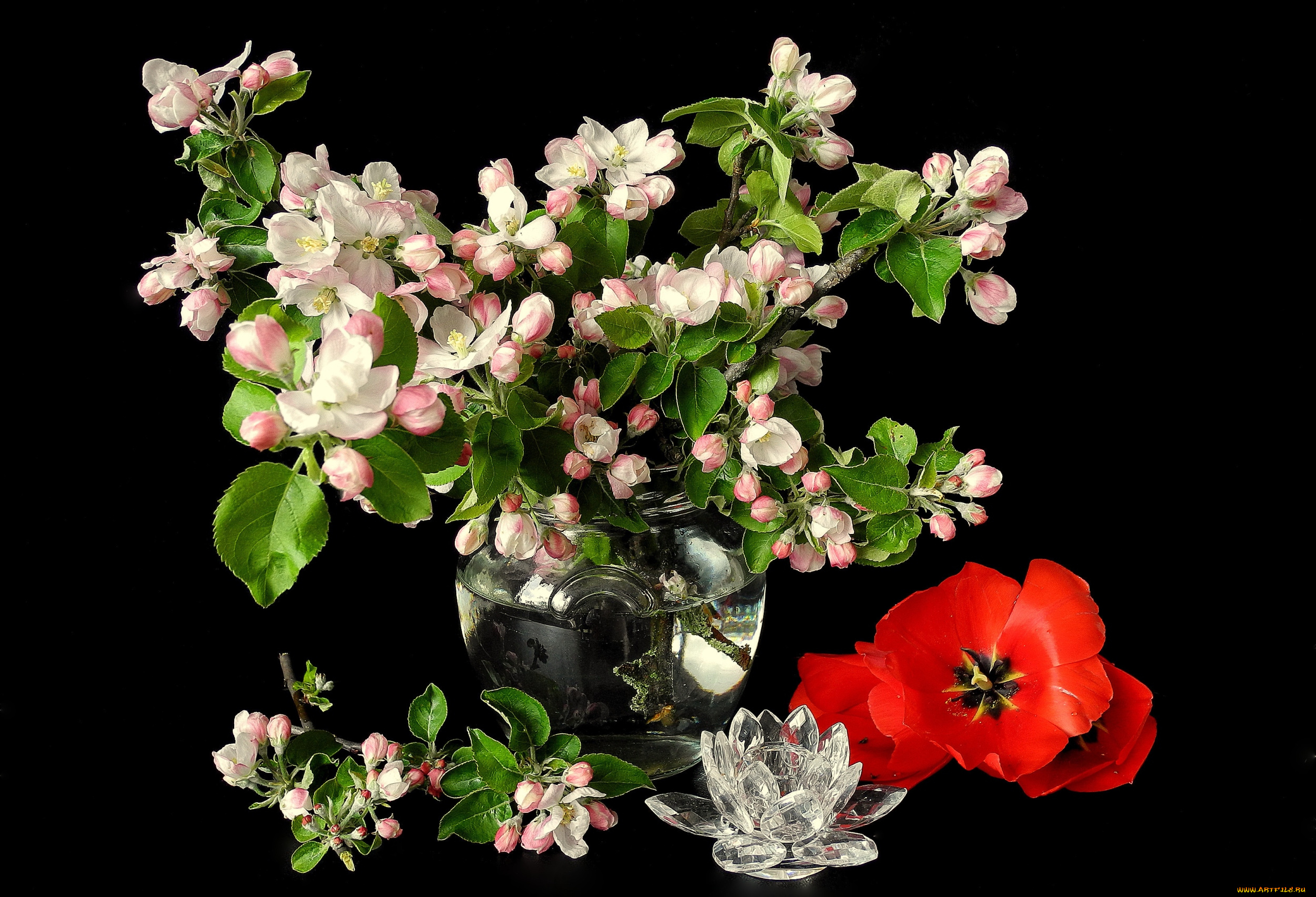 цветы, разные, вместе, яблоня, тюльпаны, ваза