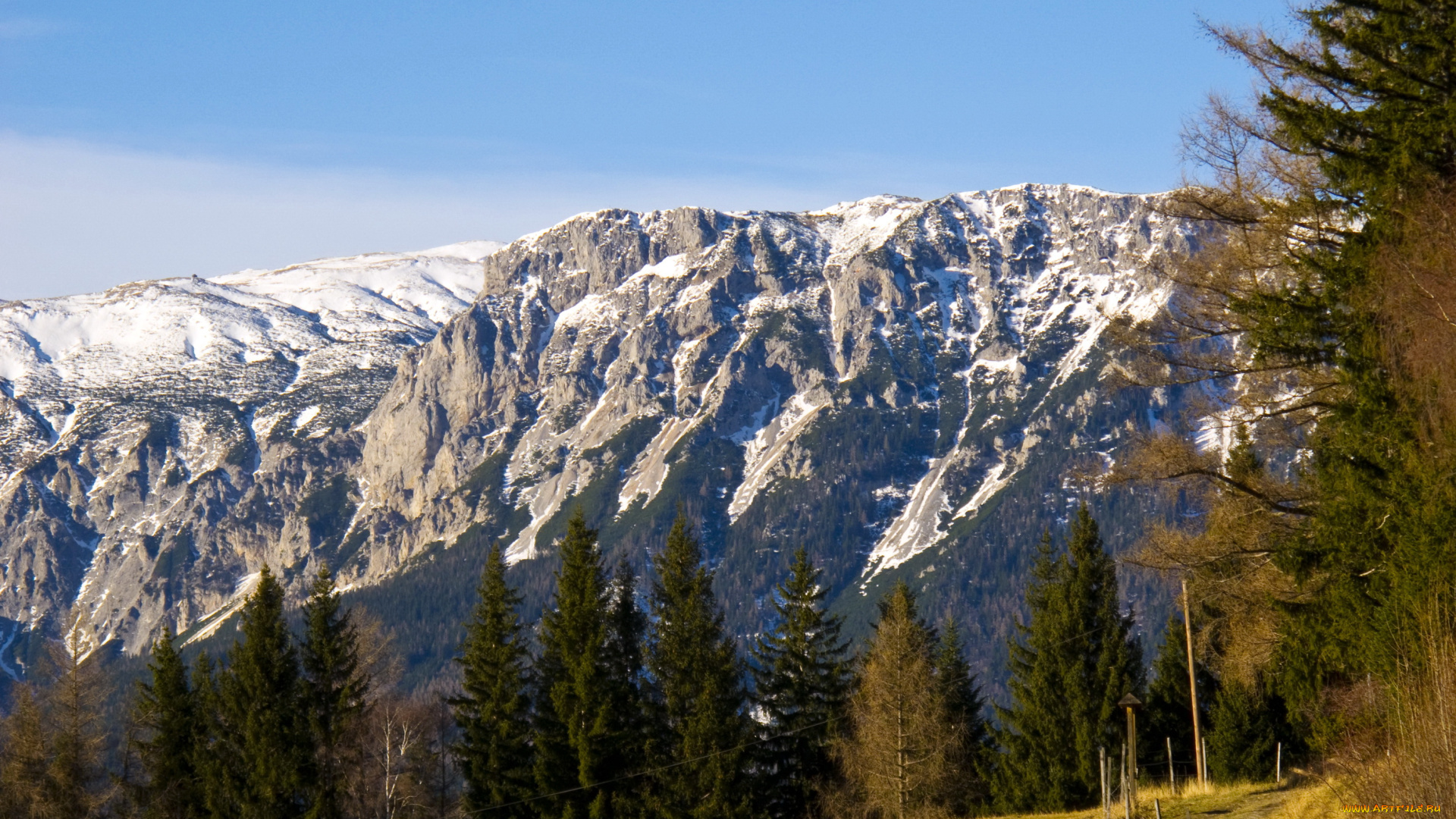 австрия, природа, горы, лес, дорога