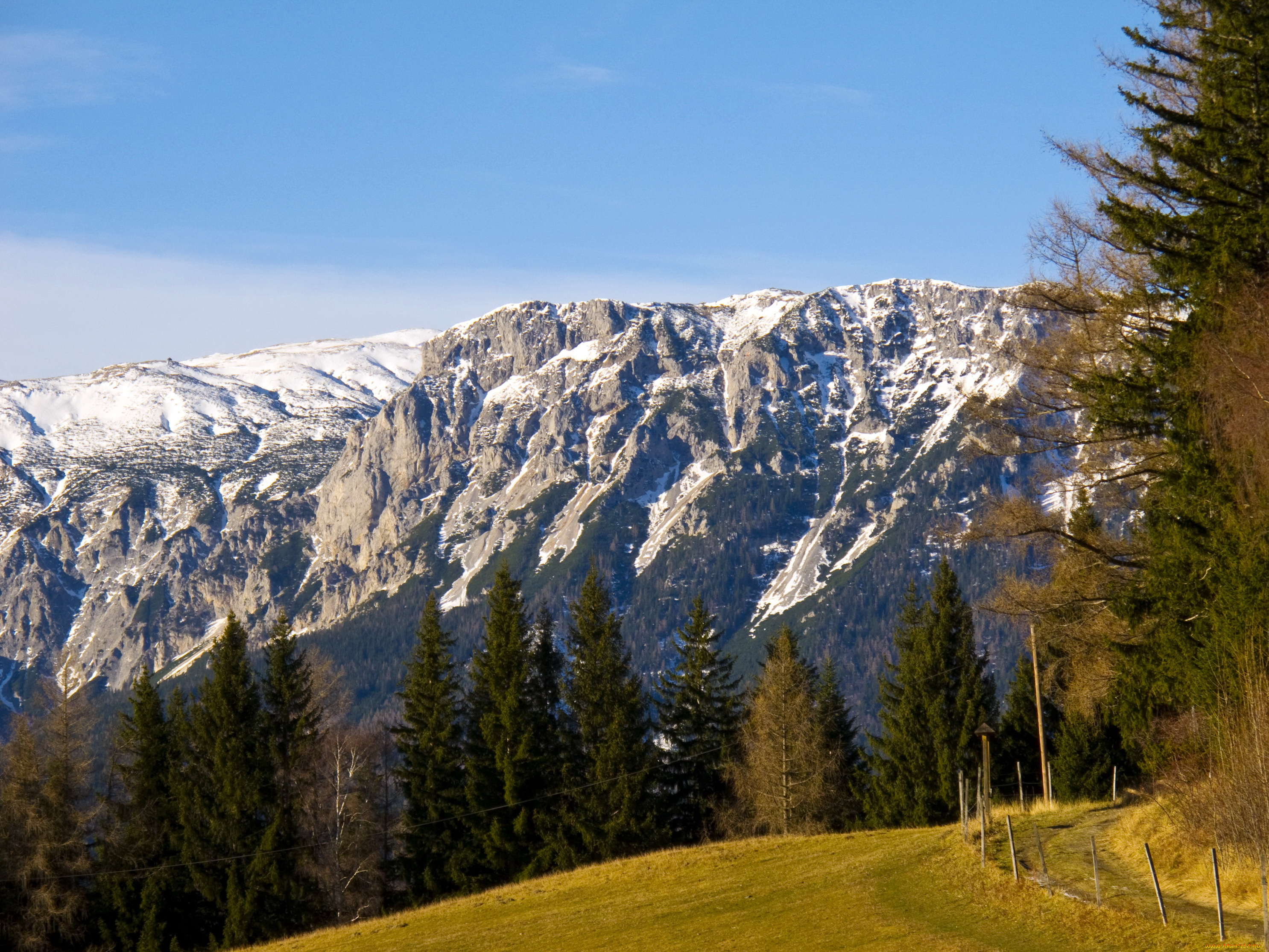 австрия, природа, горы, лес, дорога