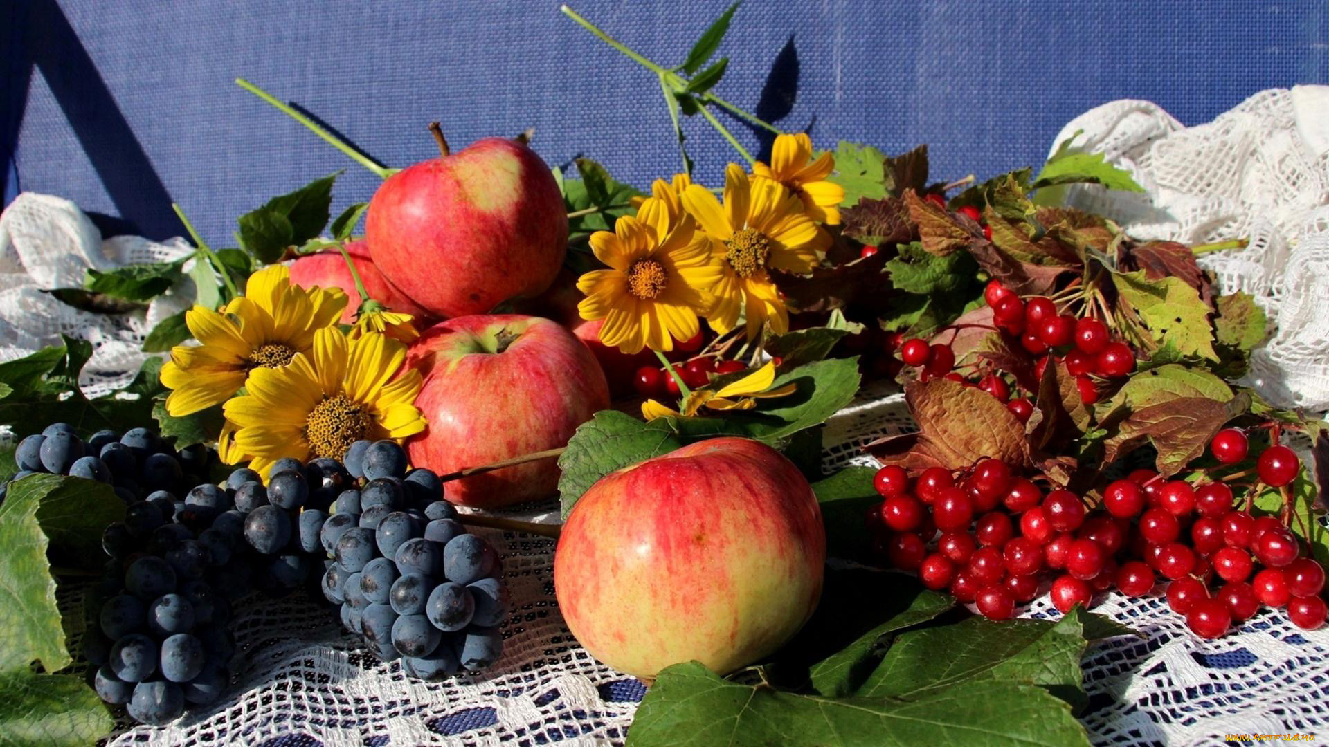 еда, фрукты, , ягоды, яблоки, калина, виноград