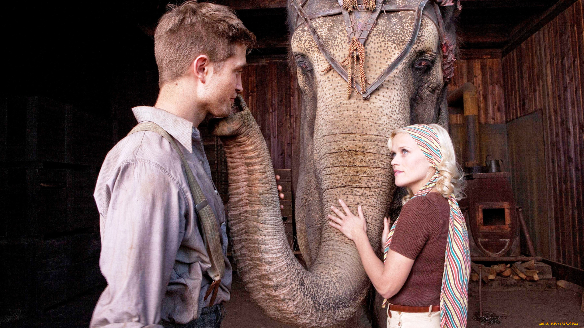 water, for, elephants, кино, фильмы, reese, witherspoon, robert, pattinson