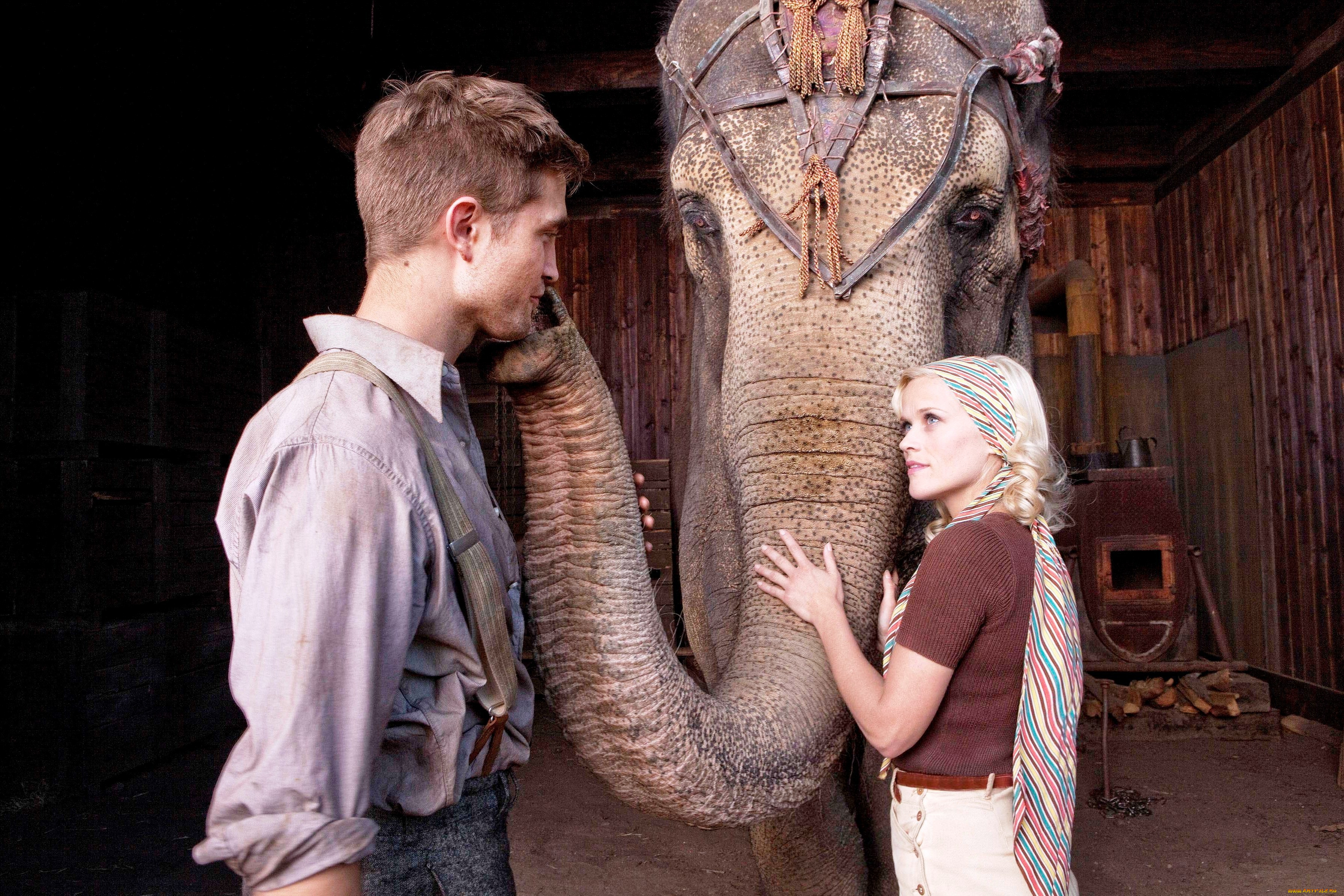 water, for, elephants, кино, фильмы, reese, witherspoon, robert, pattinson