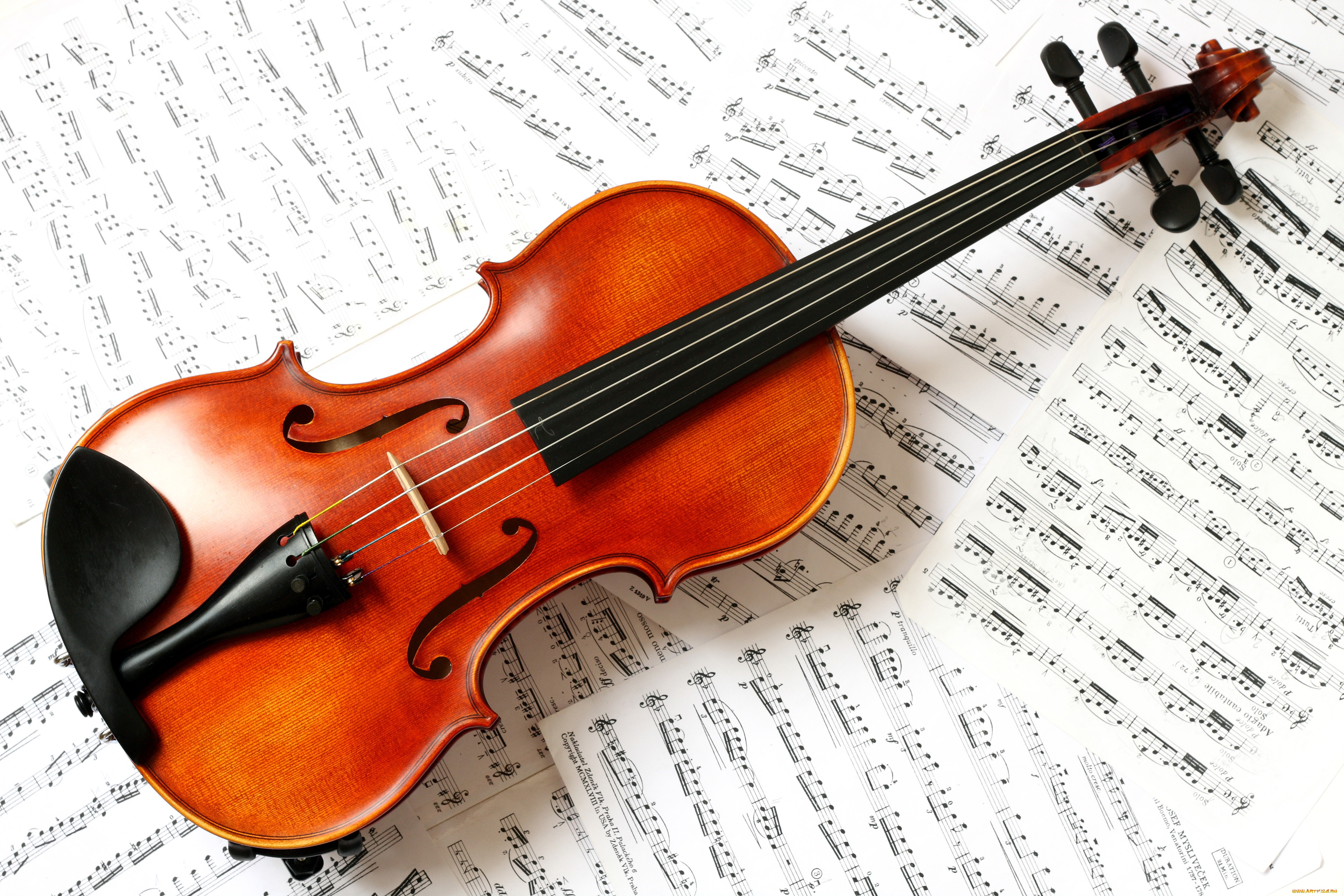 скрипка, музыка, музыкальные, инструменты, ноты