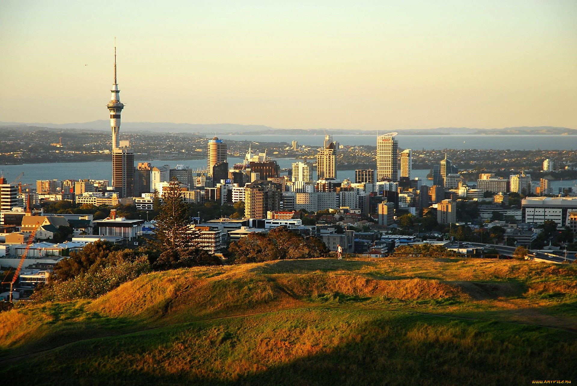 города, окленд, , новая, зеландия, панорама