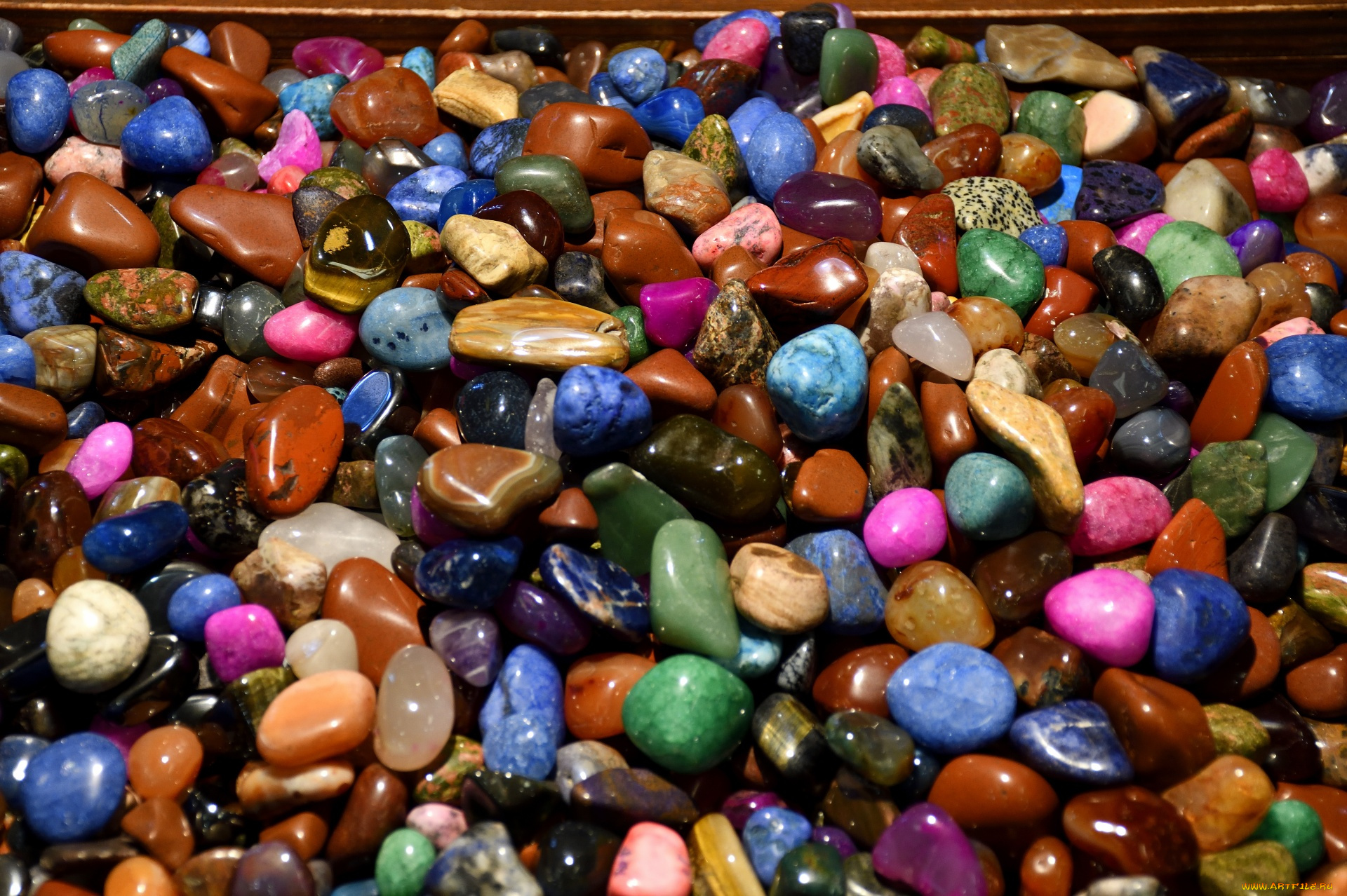 разное, ракушки, , кораллы, , декоративные, и, spa-камни, разноцветные, камешки, много