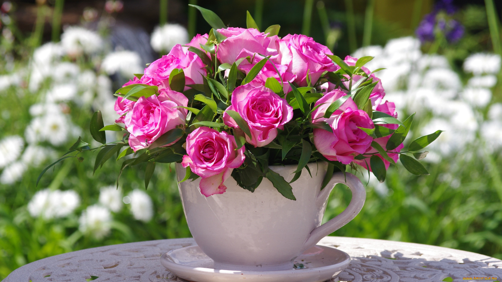 цветы, розы, чашка, розовый
