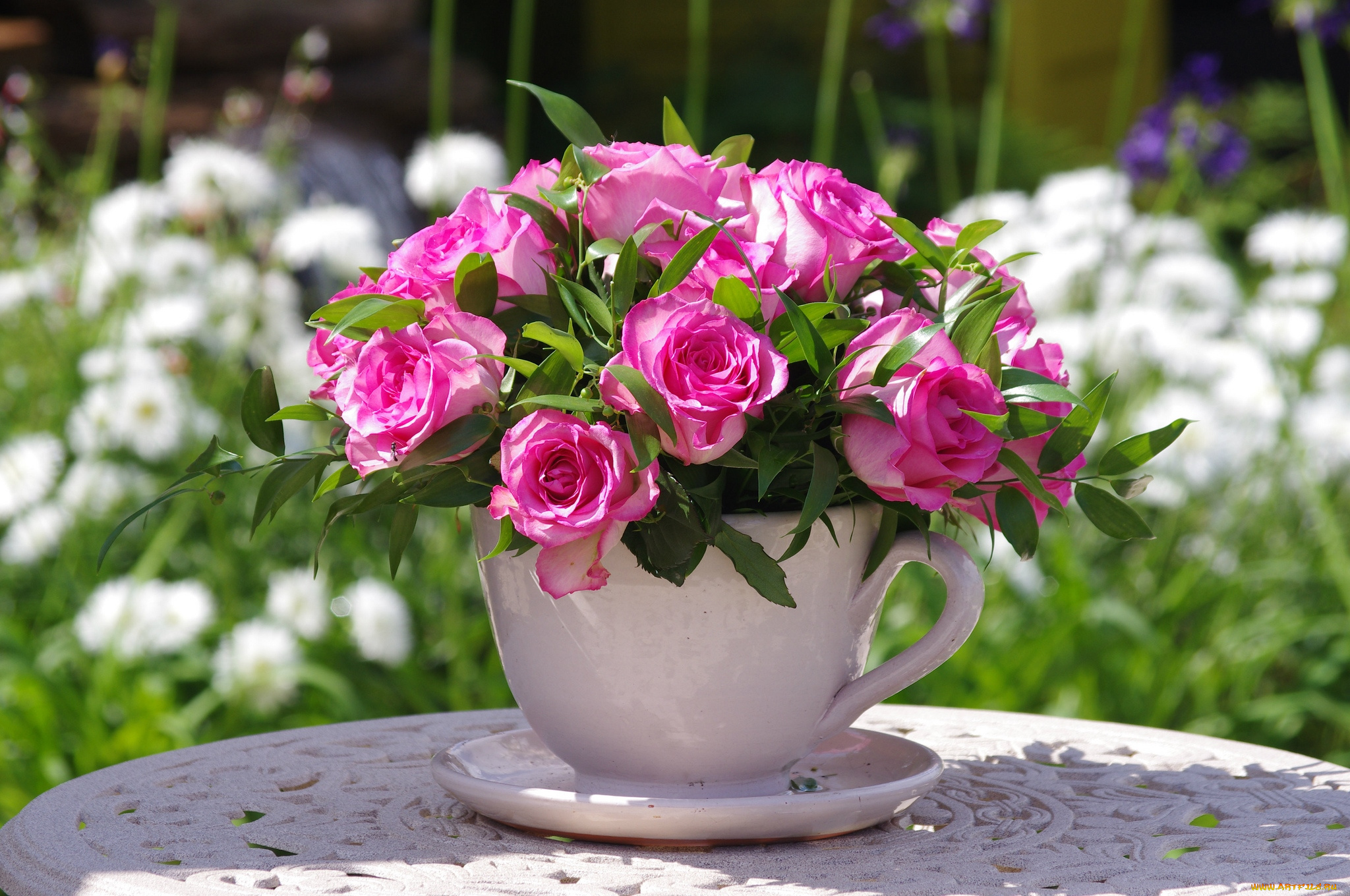 цветы, розы, чашка, розовый
