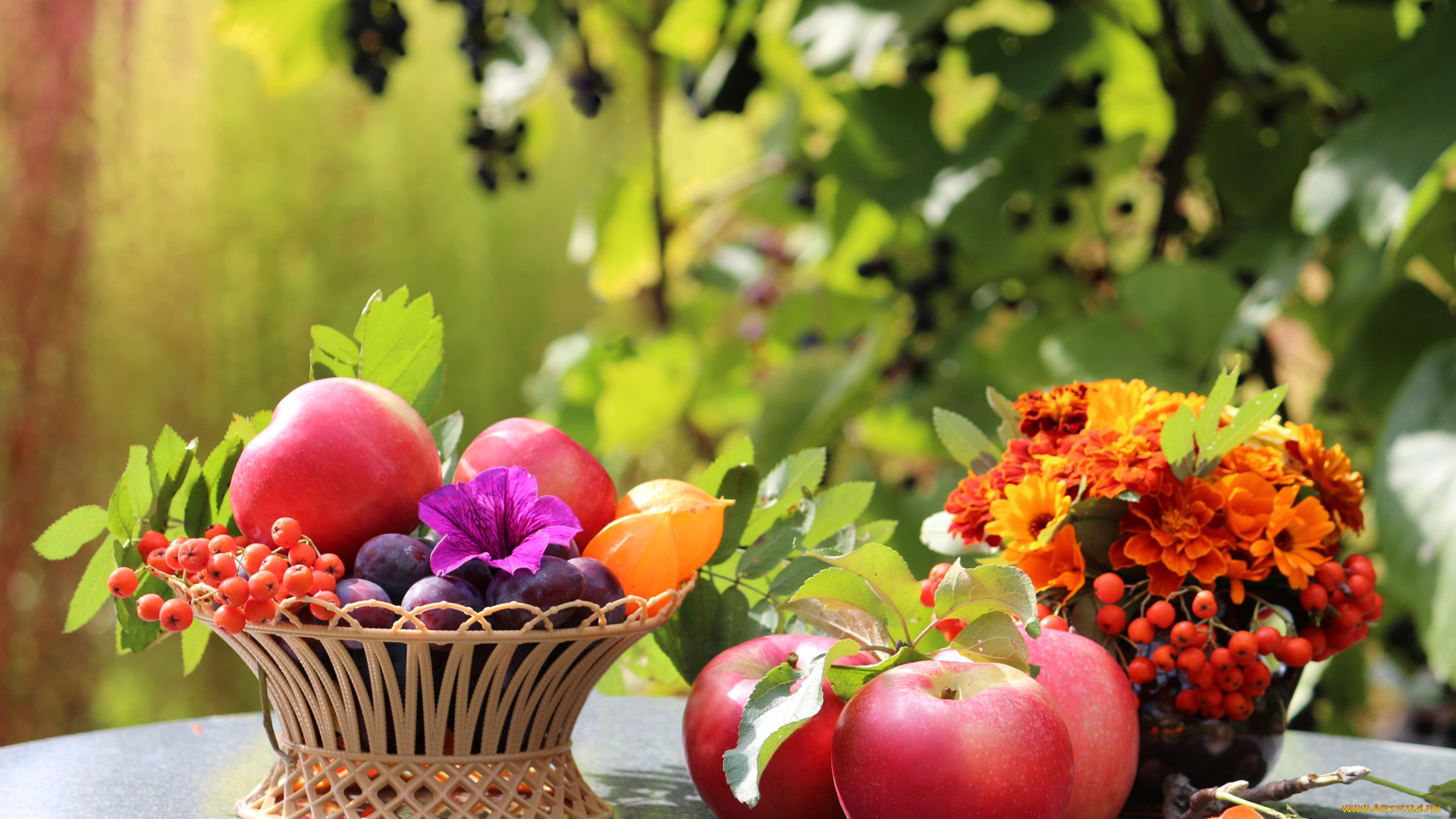 еда, фрукты, ягоды, яблоки, сливы, рябина, физалис