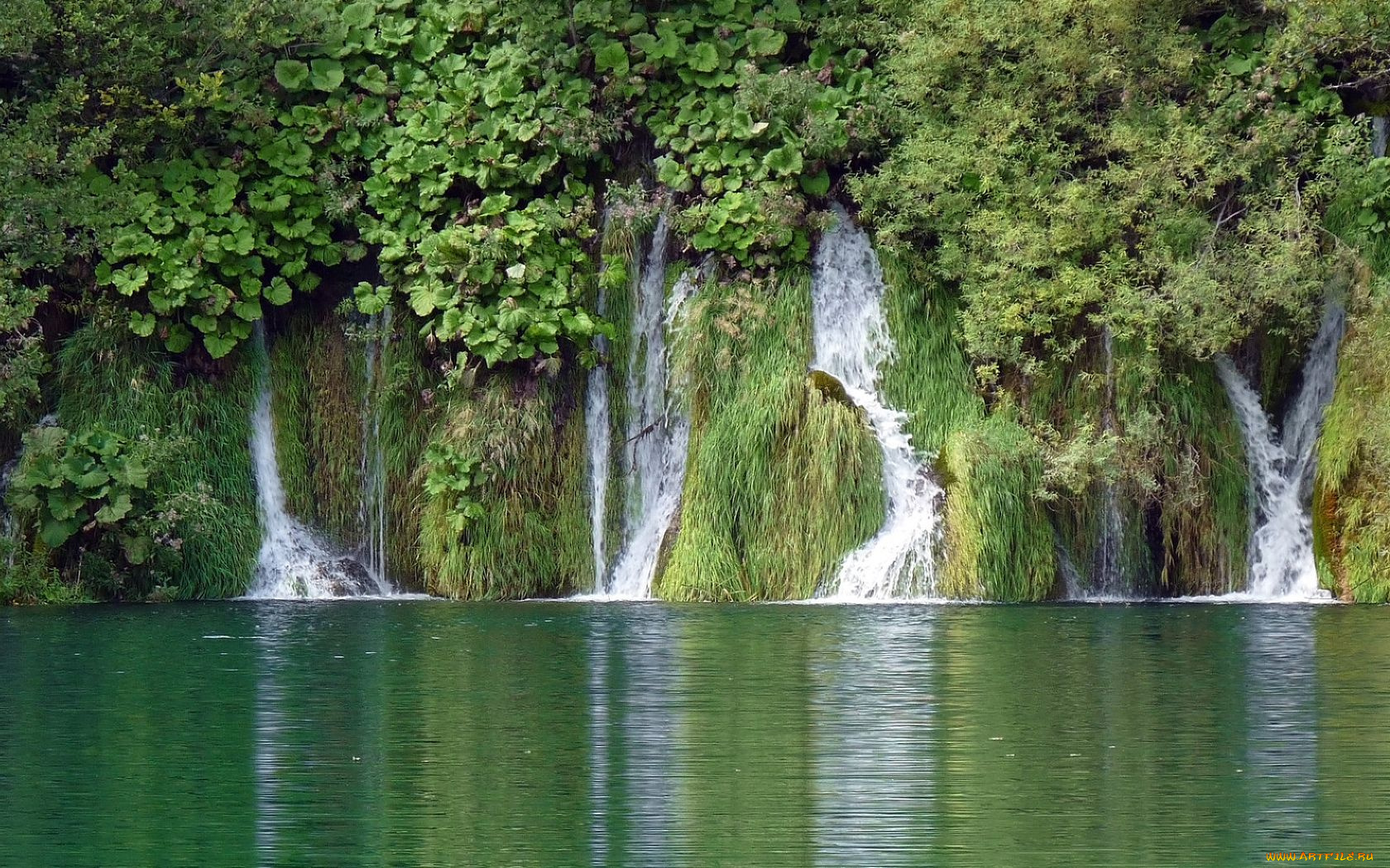природа, водопады, зелень