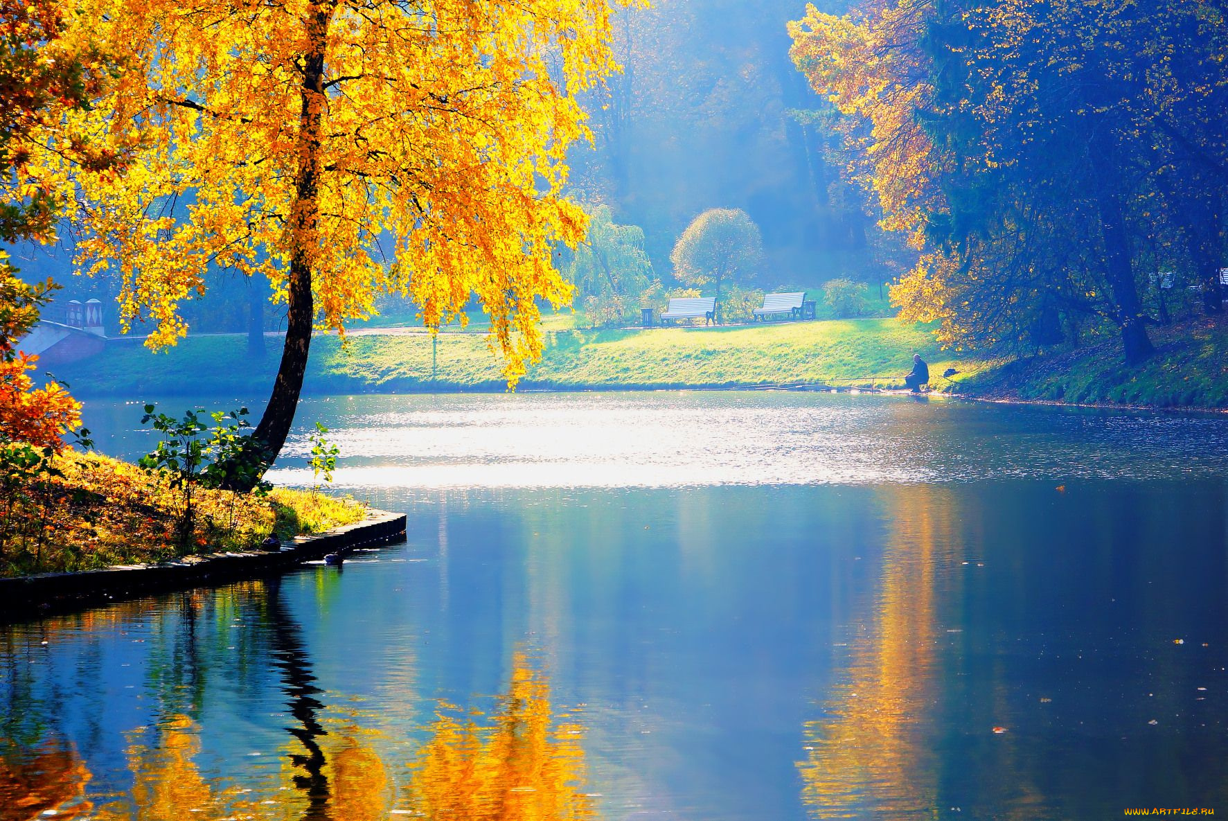 природа, реки, озера, парк, осень, деревья, река