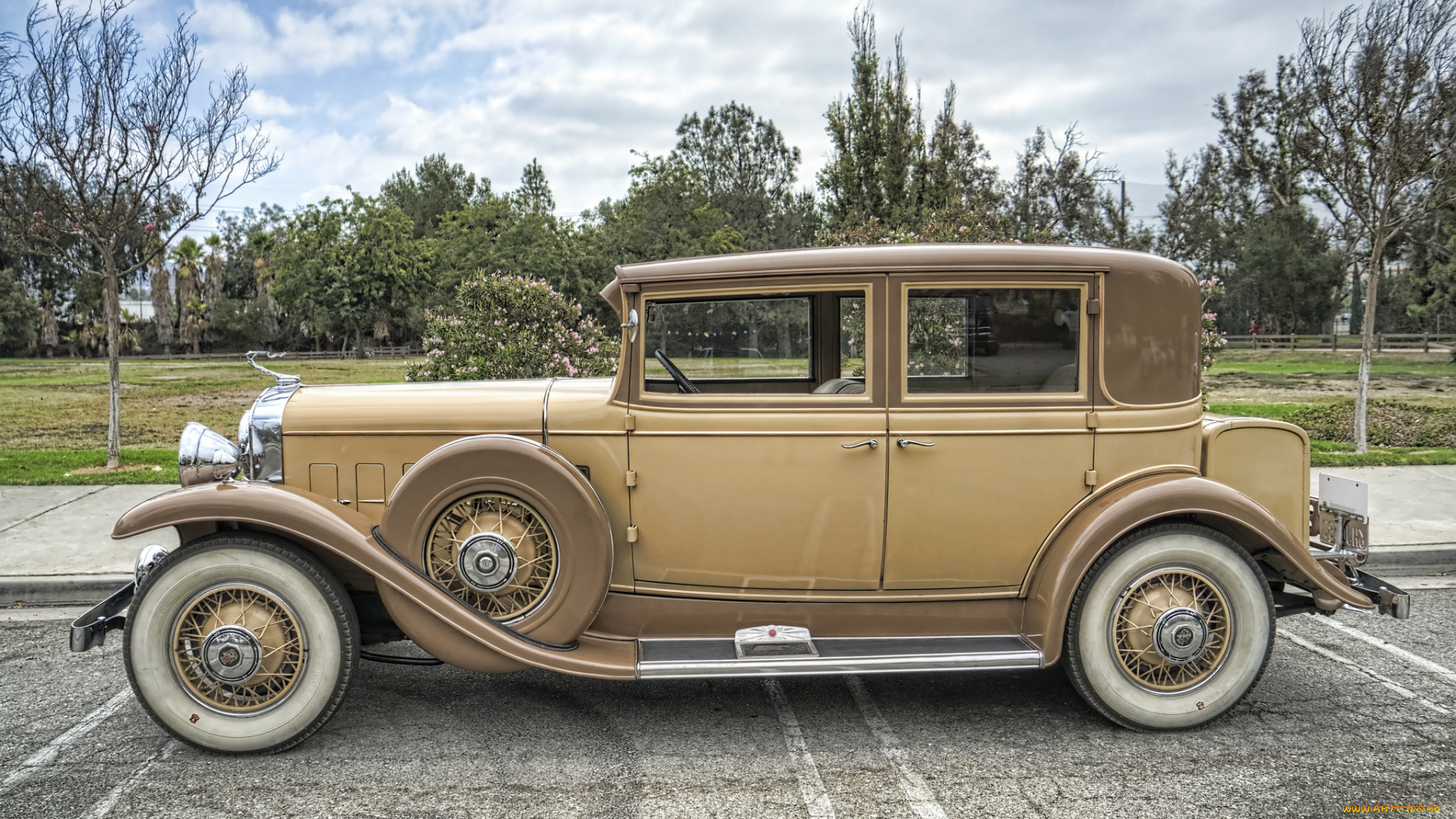 1931, cadillac, model, 355, town, sedan, автомобили, выставки, и, уличные, фото, экспозиция, музей