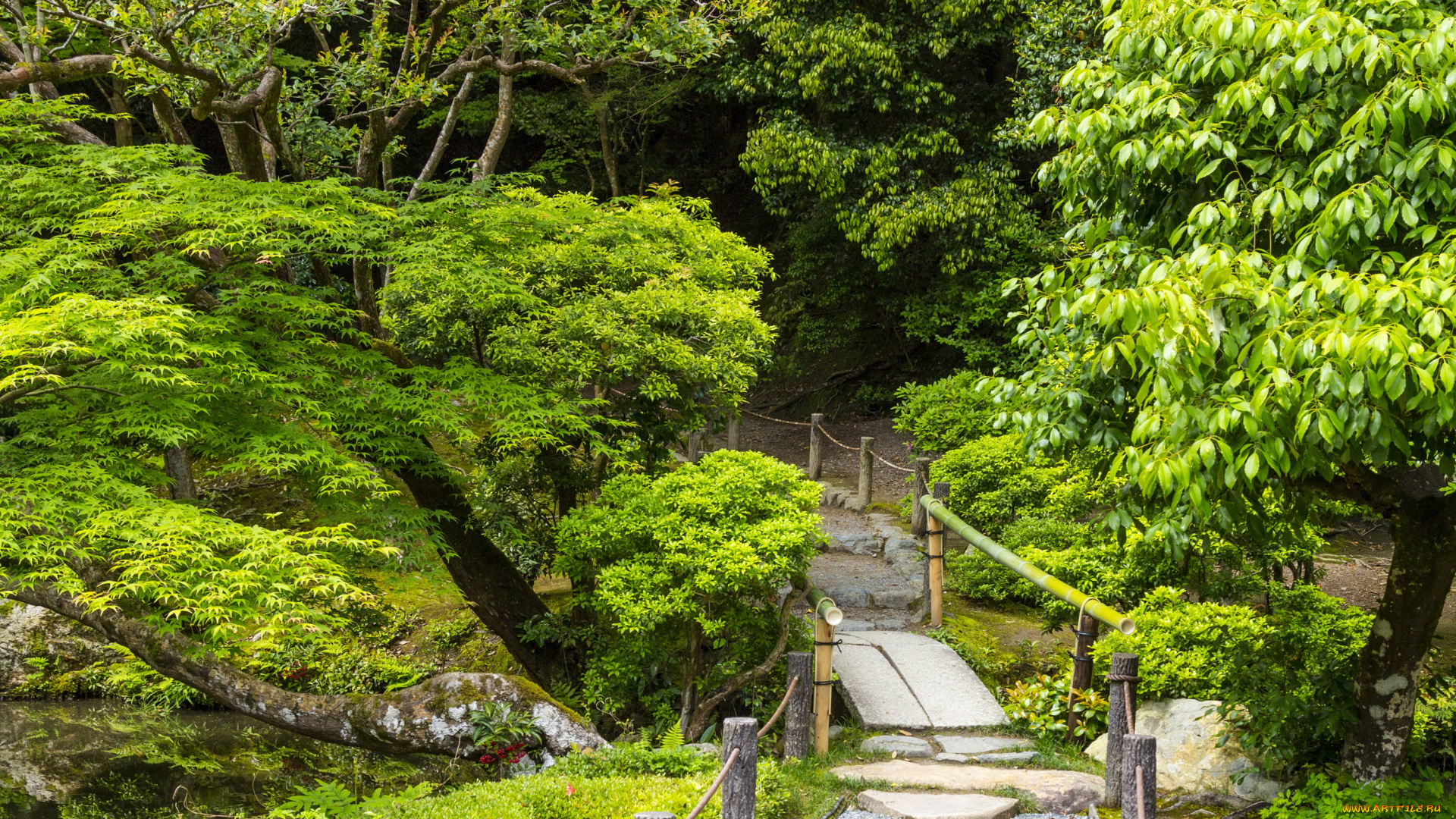 природа, парк, пруд, деревья, сад, кусты, мостик, японский