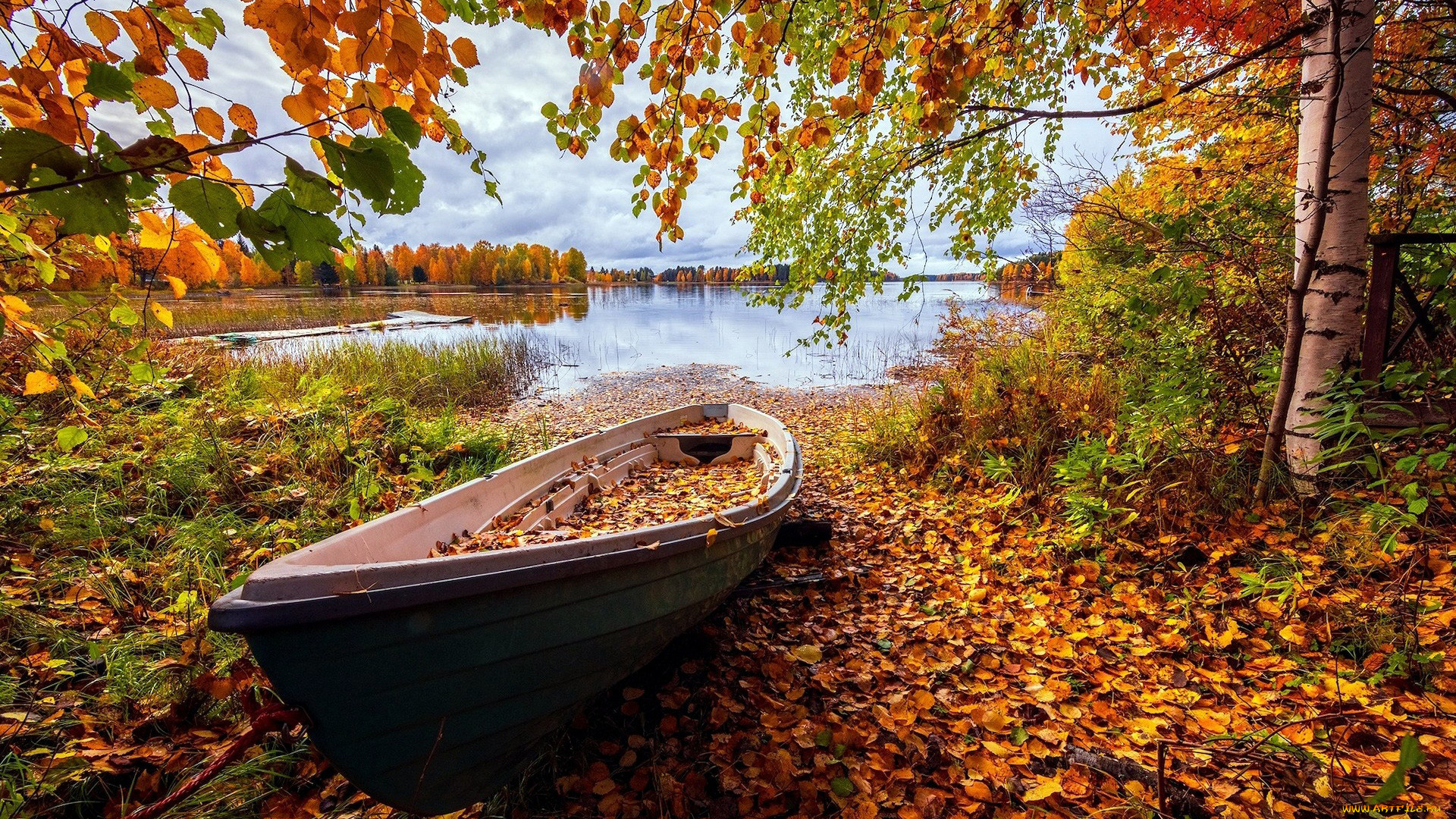 корабли, лодки, , шлюпки, озеро, осень, лодка, листопад, листья