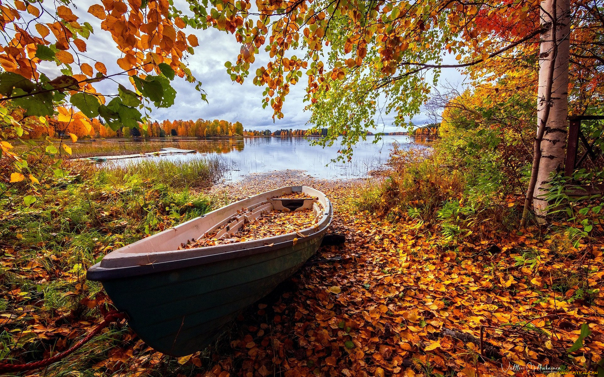 корабли, лодки, , шлюпки, озеро, осень, лодка, листопад, листья