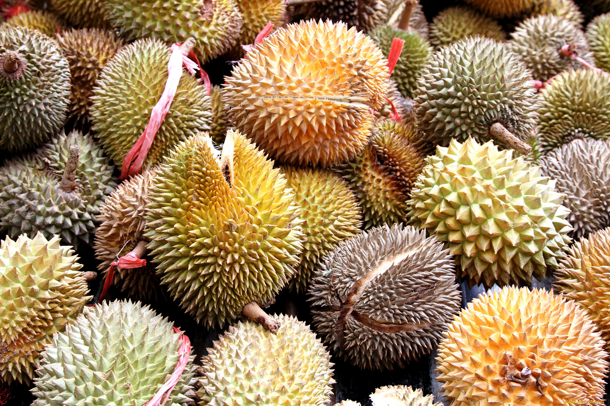 durian, fruit, еда, дуриан, дурианы