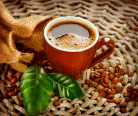 Картинка еда кофе +кофейные+зёрна листья зерна чашка
