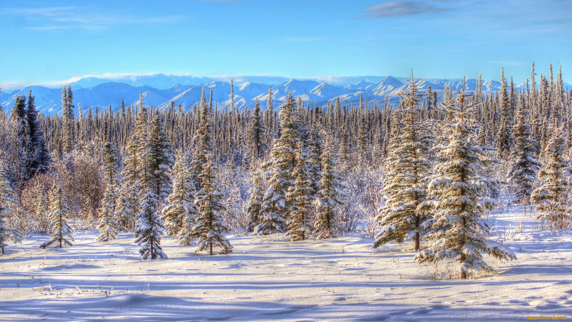природа, зима, горы, елки, снег