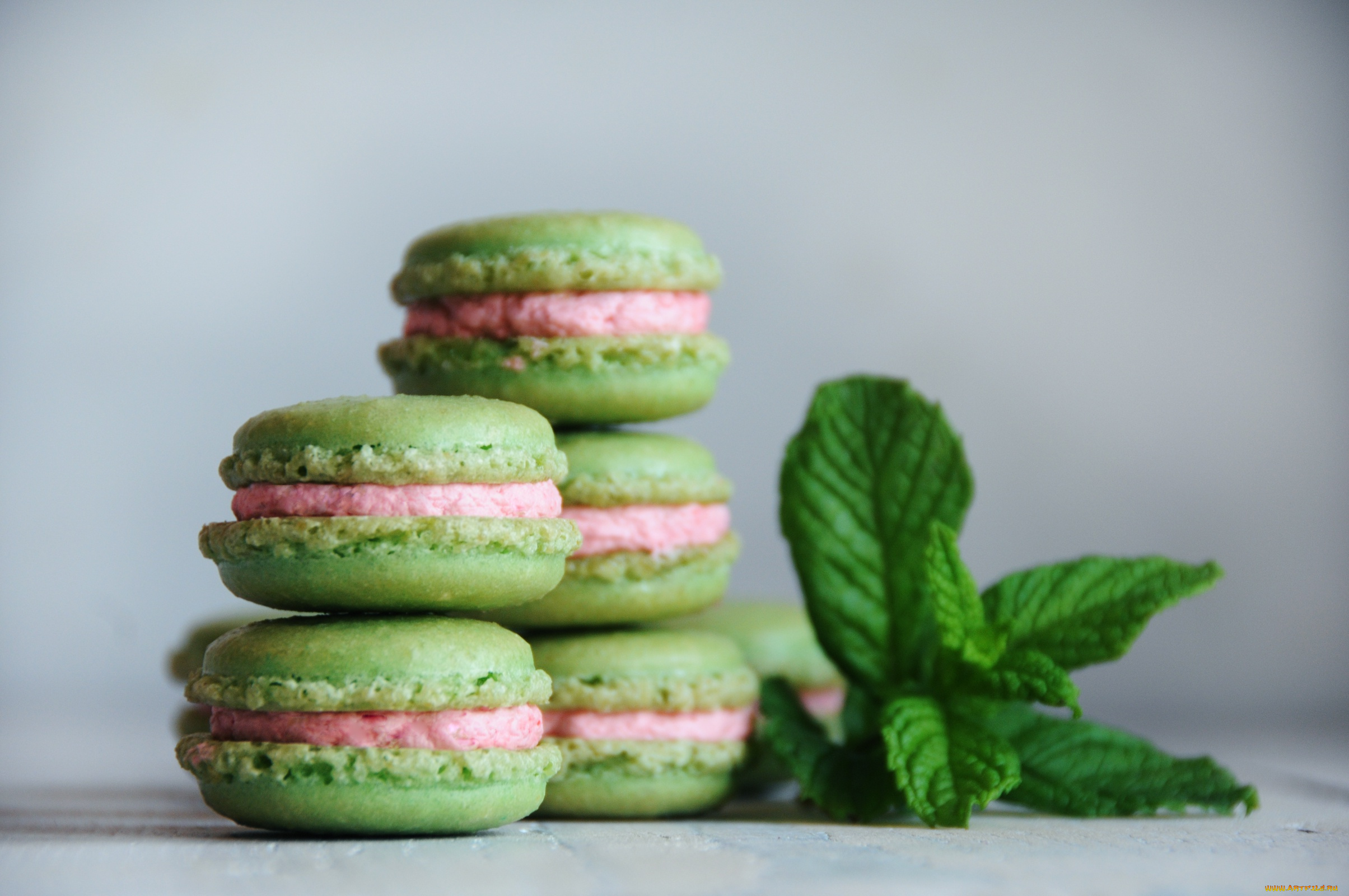 еда, макаруны, macaron, выпечка, десерт, печенье, мята