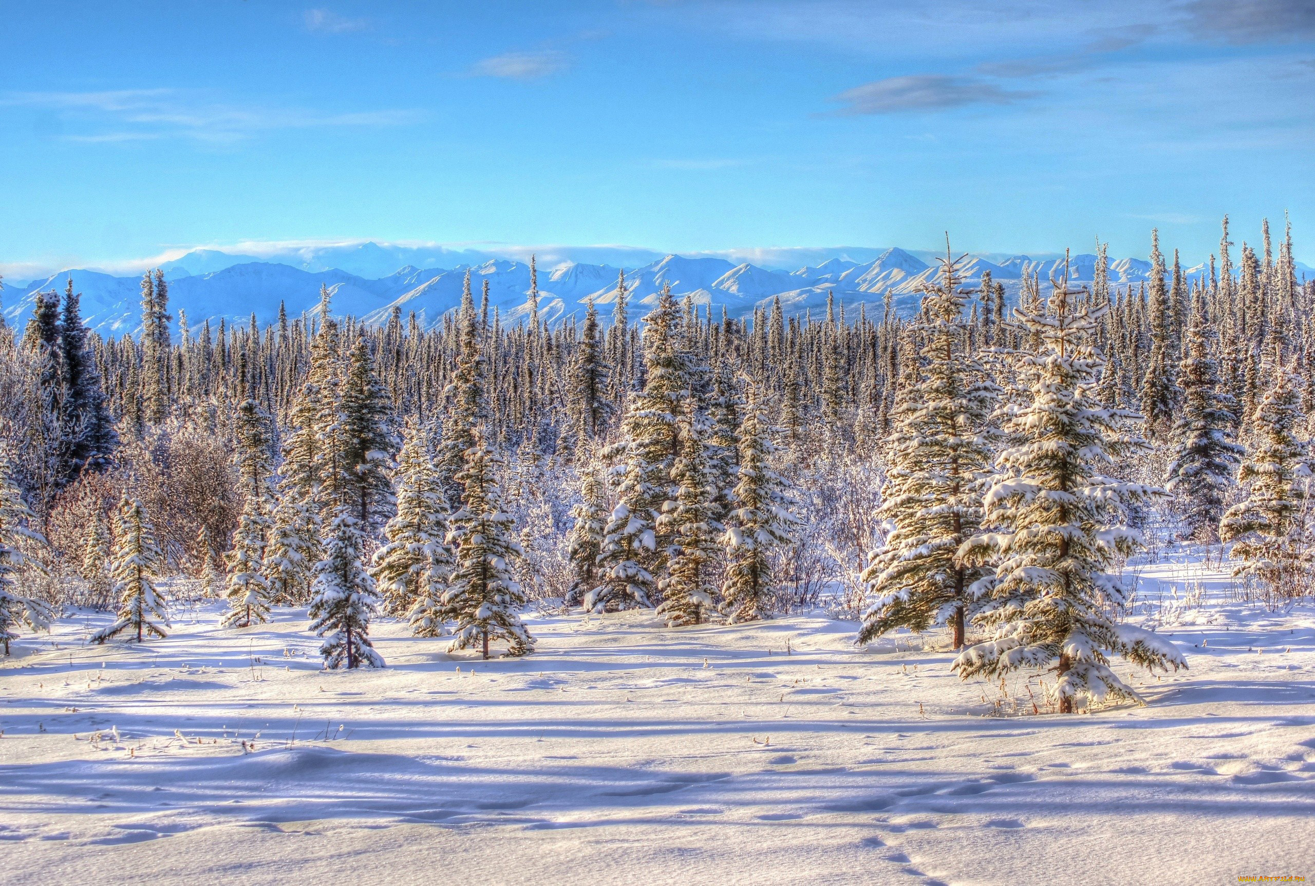природа, зима, горы, елки, снег