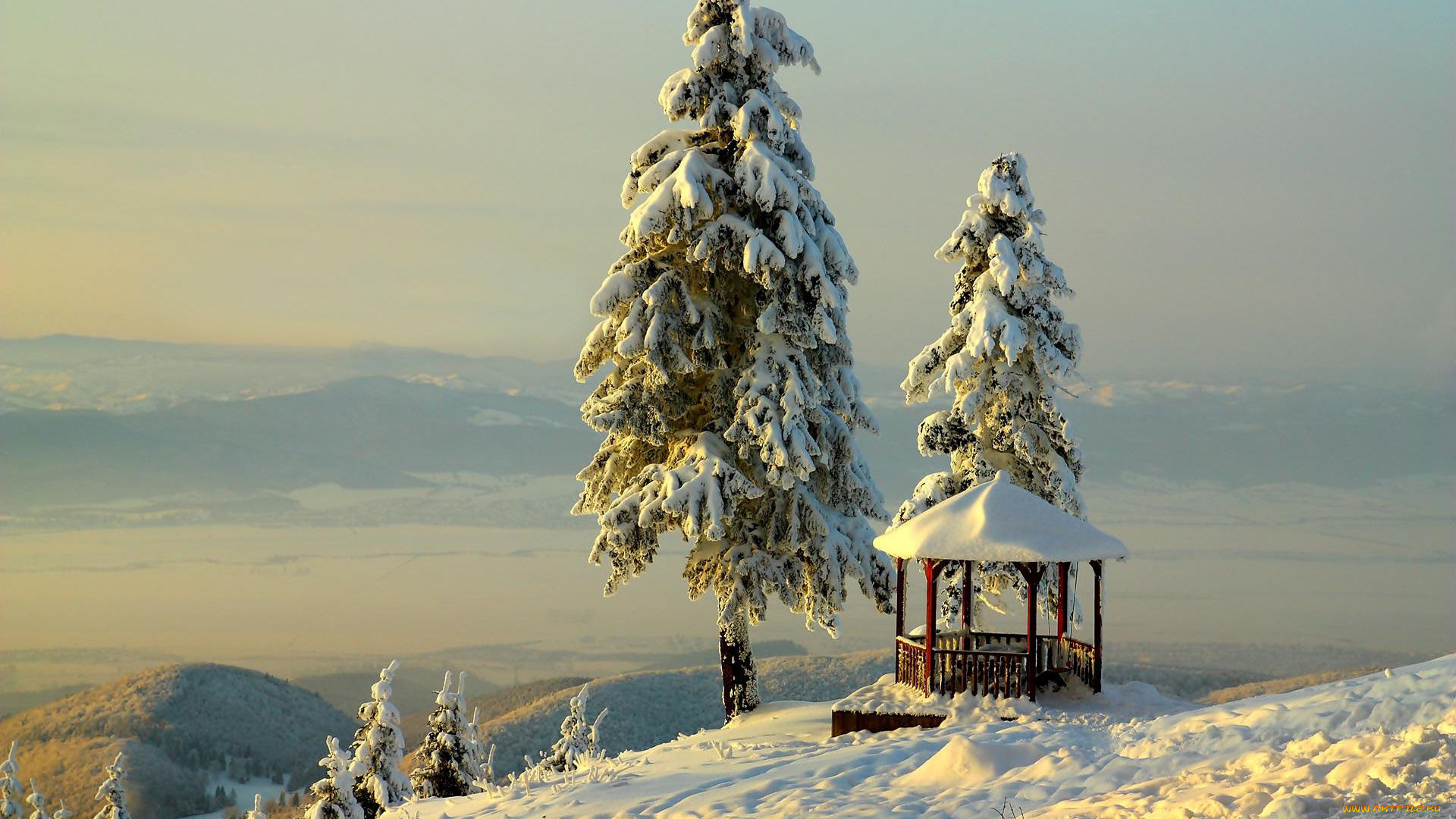 природа, зима, елка, снег, беседка