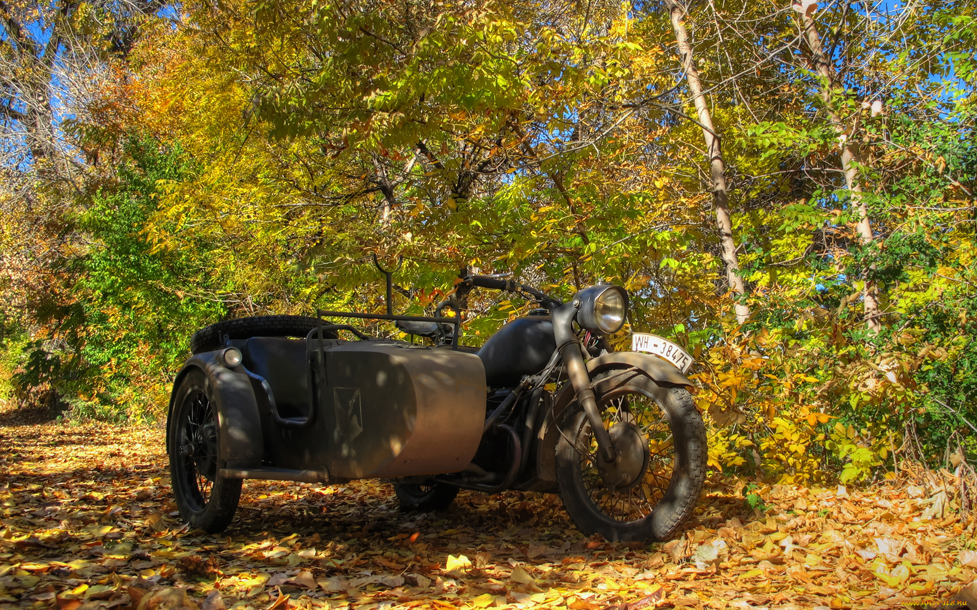 мотоциклы, мотоциклы, с, коляской, листва