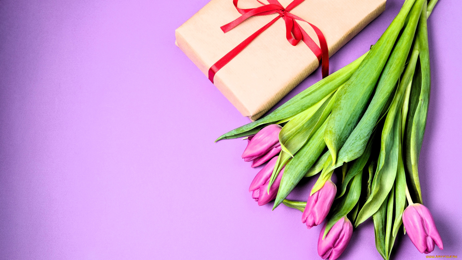 праздничные, подарки, и, коробочки, подарок, тюльпаны