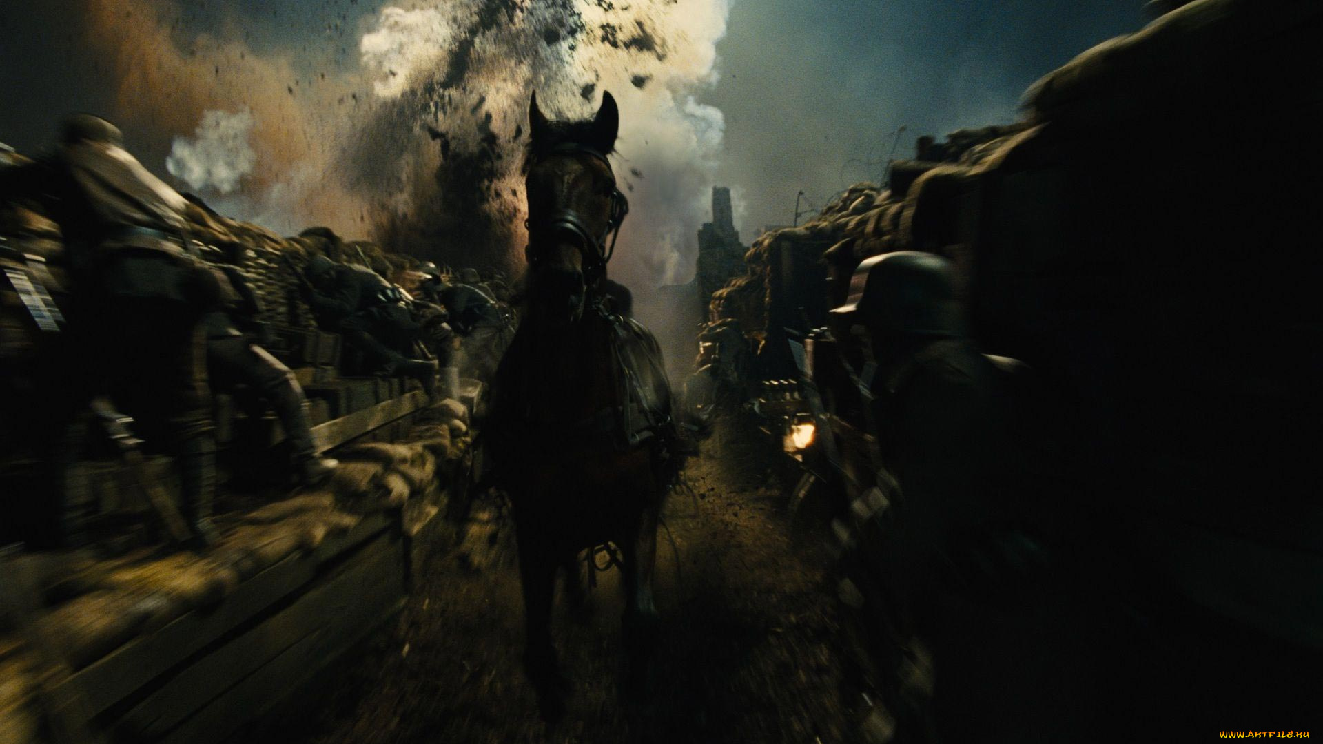 war, horse, кино, фильмы, боевой, конь