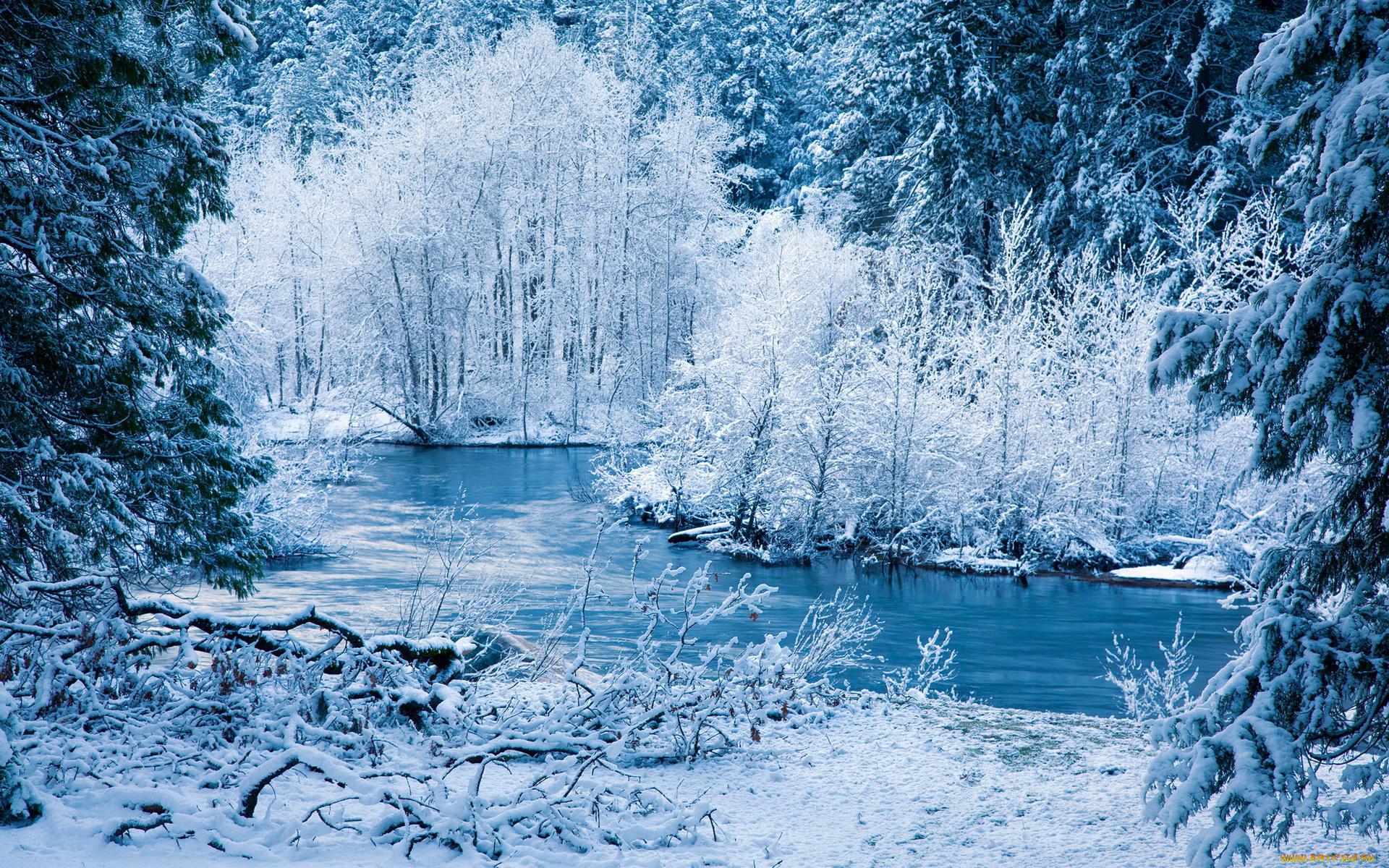 природа, зима, река, иней