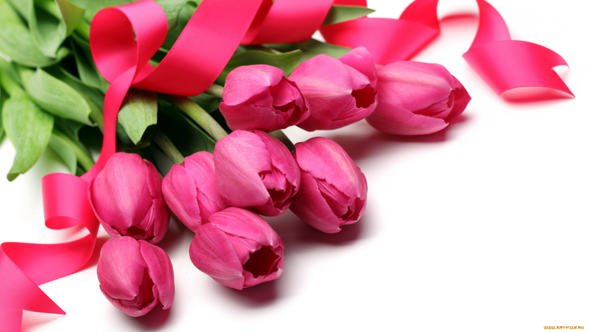 цветы, тюльпаны, лента, розовый