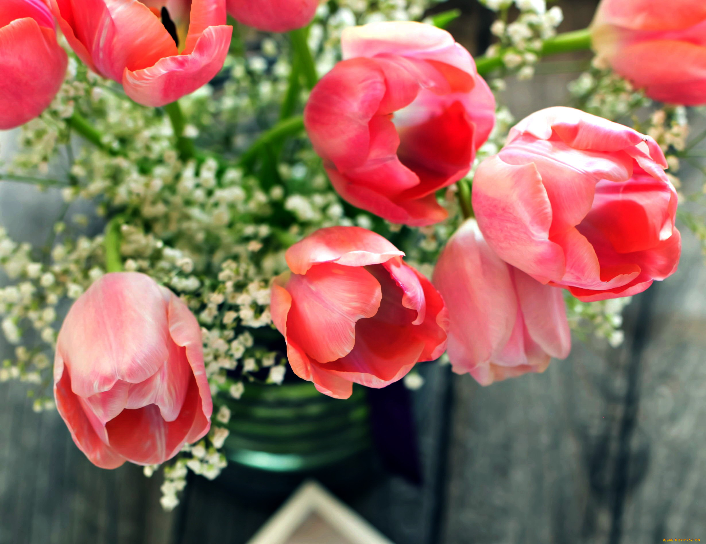 цветы, тюльпаны, розовый