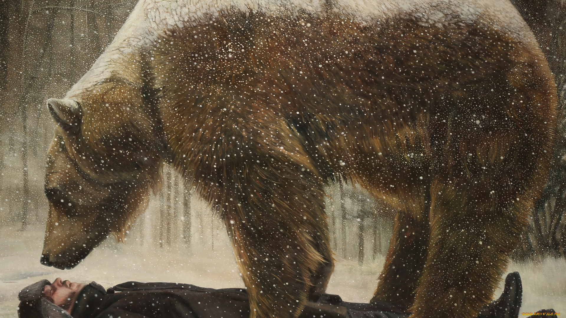 рисованное, животные, , медведи, картина, норвежский, художник, christer, karlstad, cold, comfort
