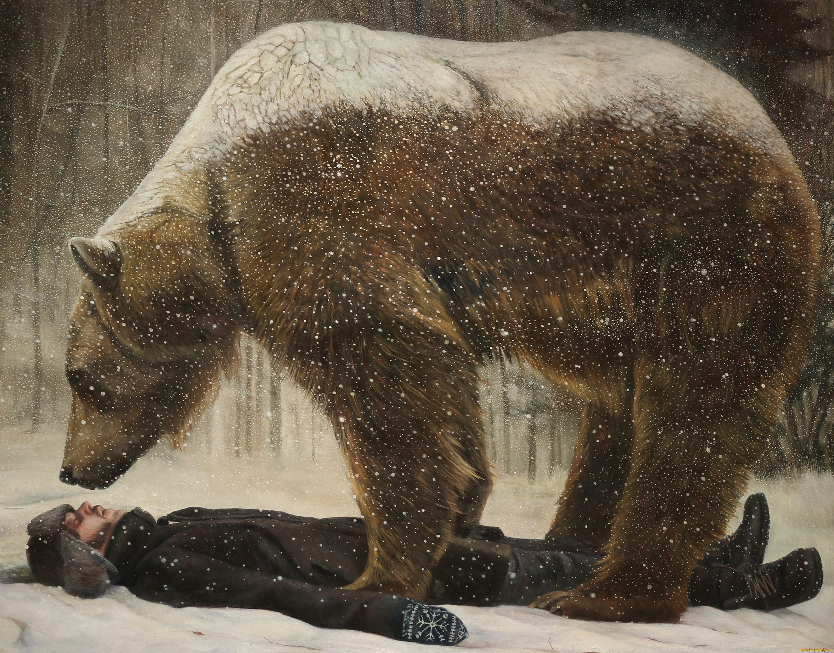 рисованное, животные, , медведи, картина, норвежский, художник, christer, karlstad, cold, comfort