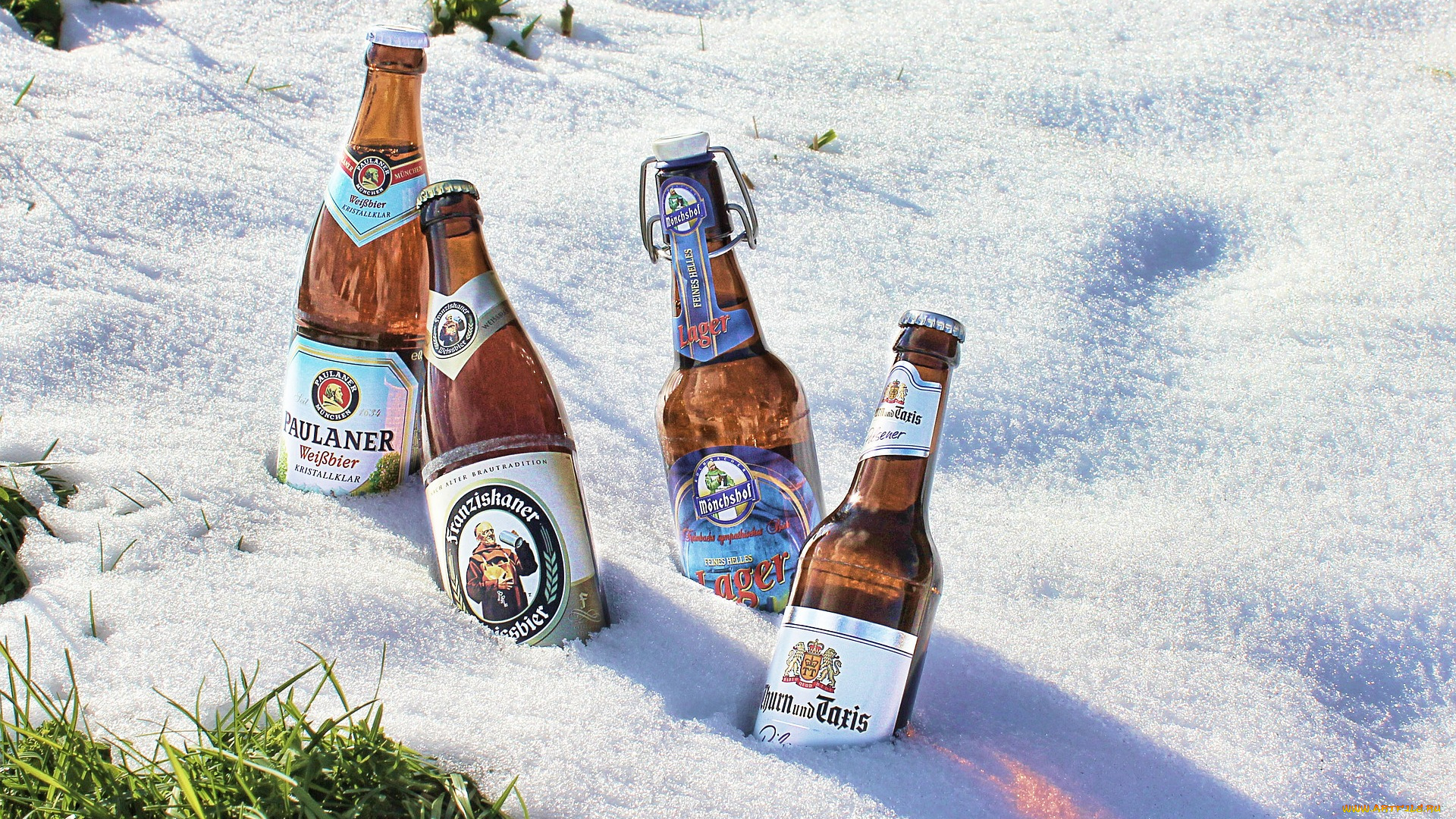 бренды, бренды, напитков, , разное, пиво, снег