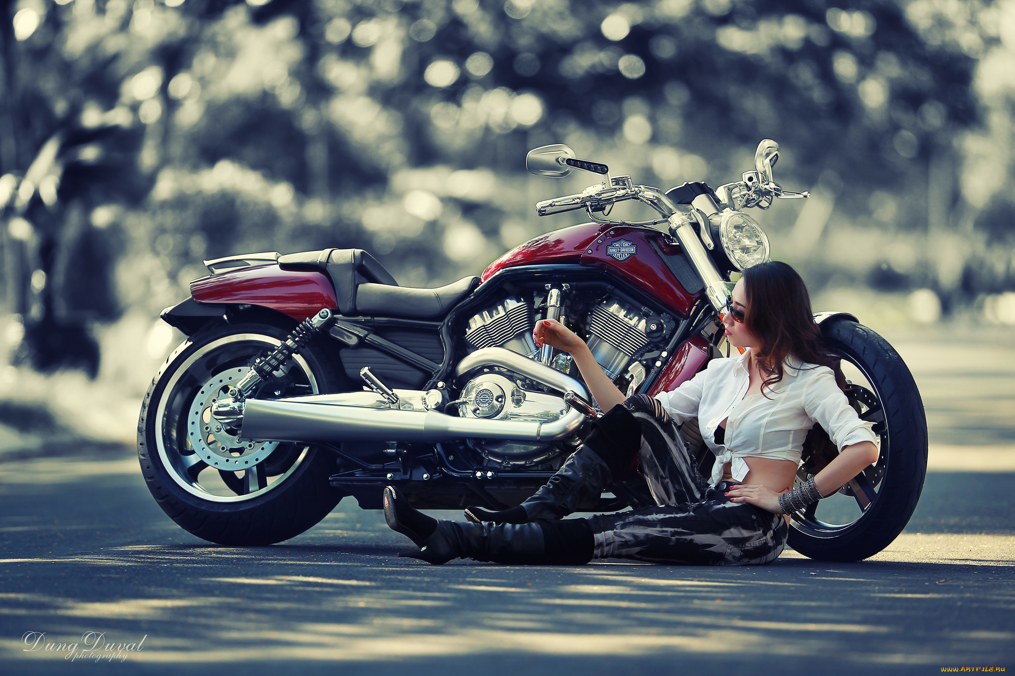 мотоциклы, мото, девушкой, harley-davidson