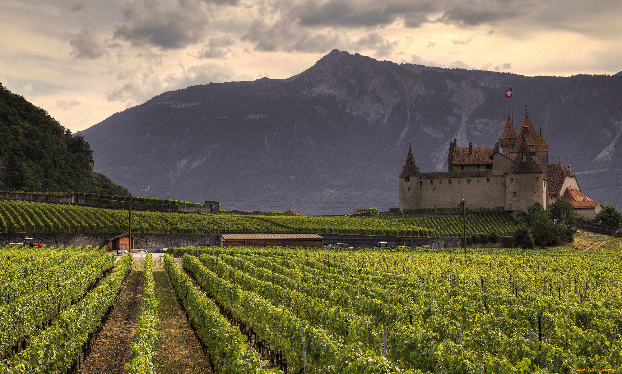 castle, and, wine, города, замки, швейцарии, виноградники, замок