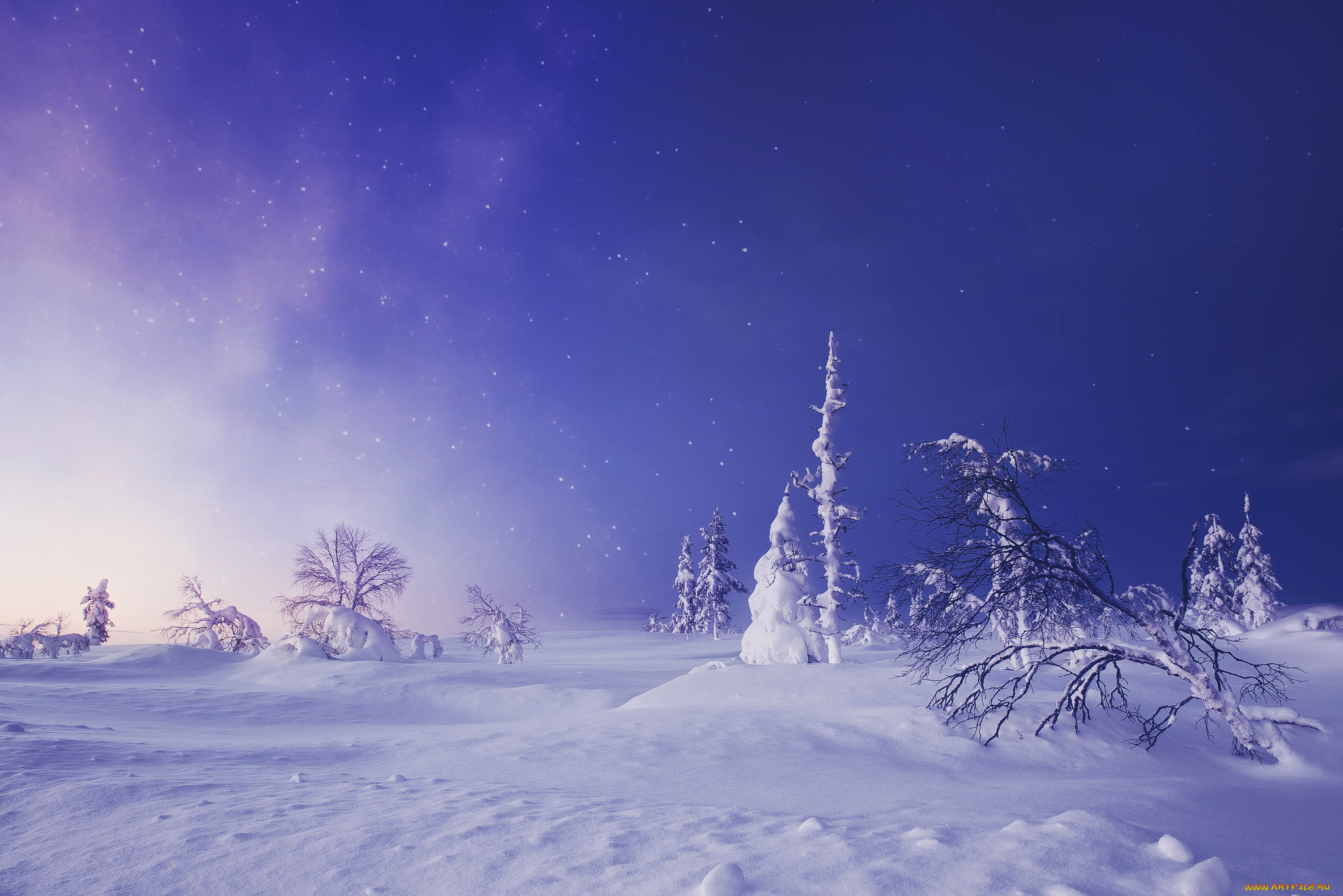 природа, зима, lapland, finland, лапландия, финляндия, снег, звёздное, небо, сугробы, деревья