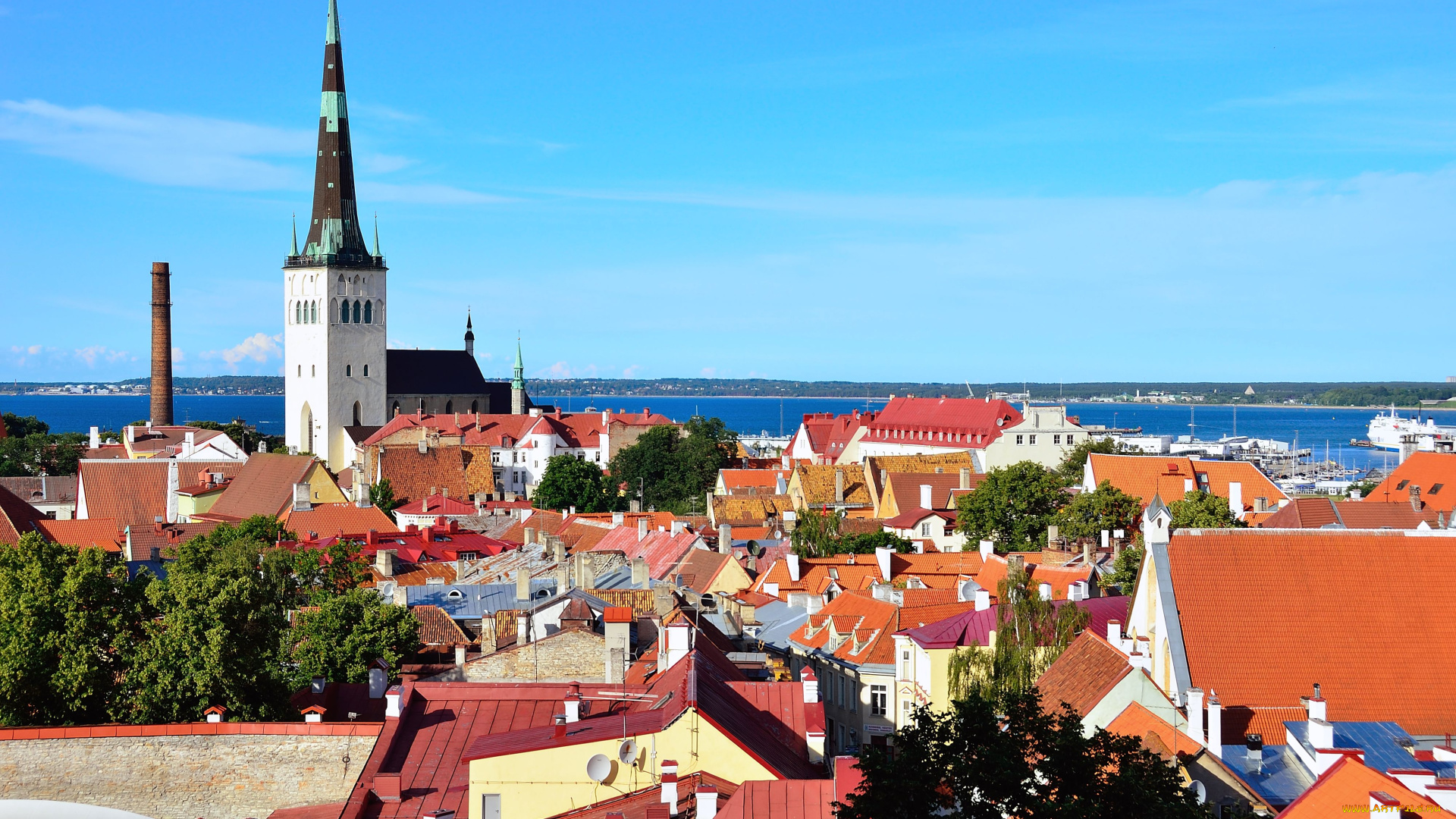 города, таллин, эстония, панорама, крыши
