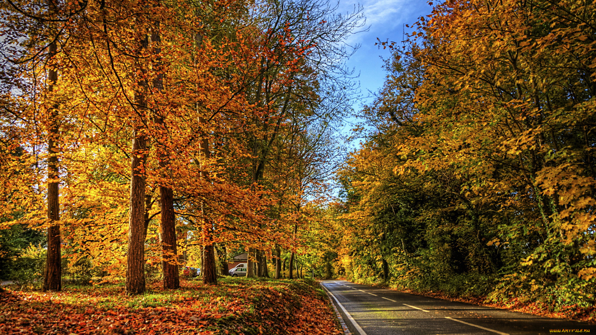 природа, дороги, дорога, деревья, осень