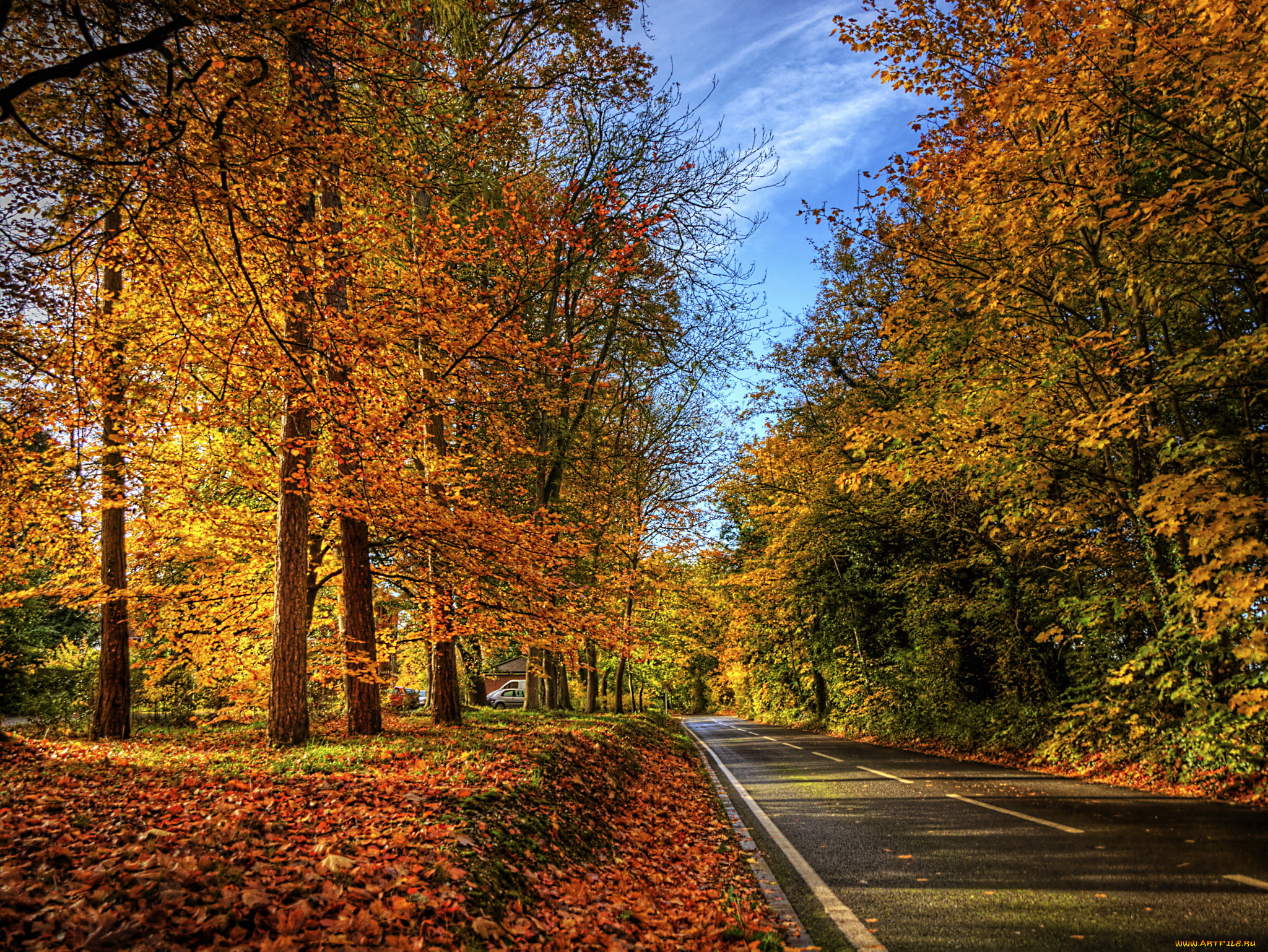 природа, дороги, дорога, деревья, осень