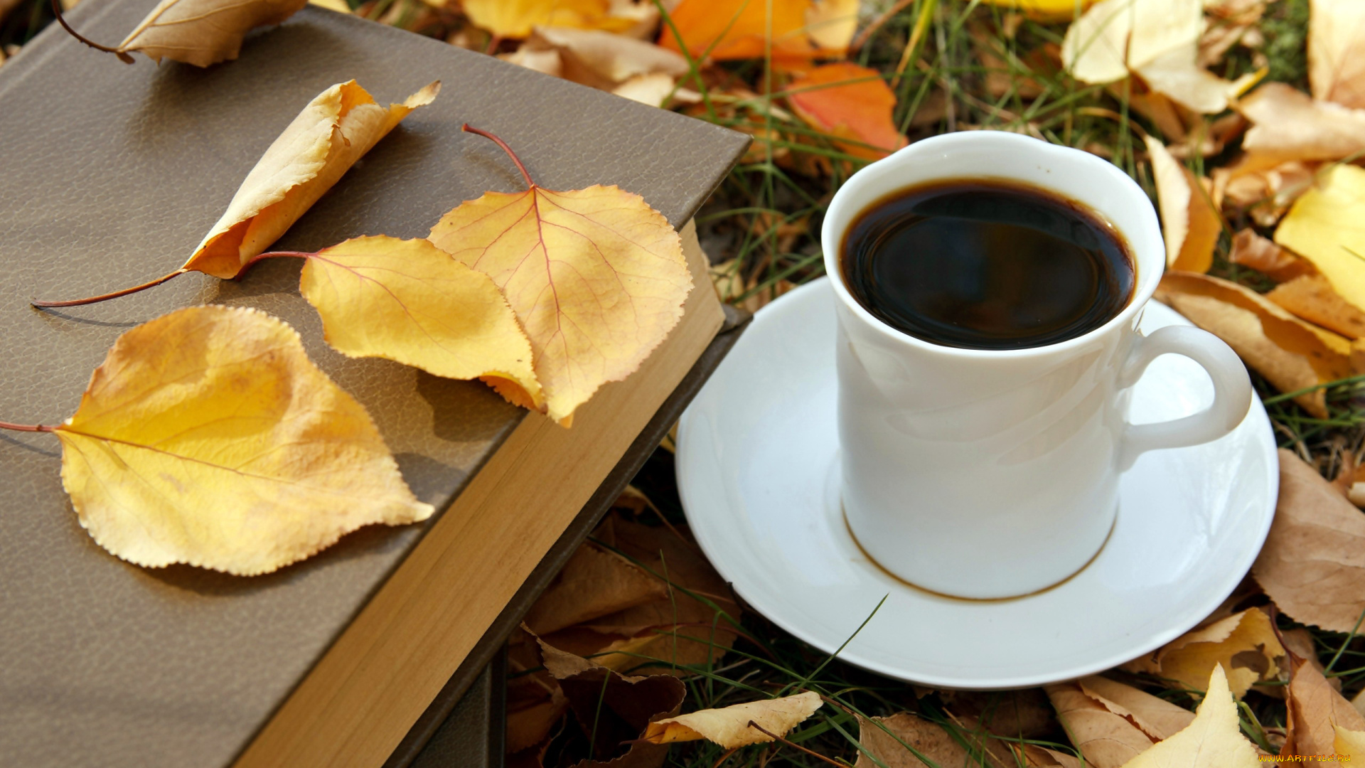 еда, кофе, , кофейные, зёрна, листья, книга, осень