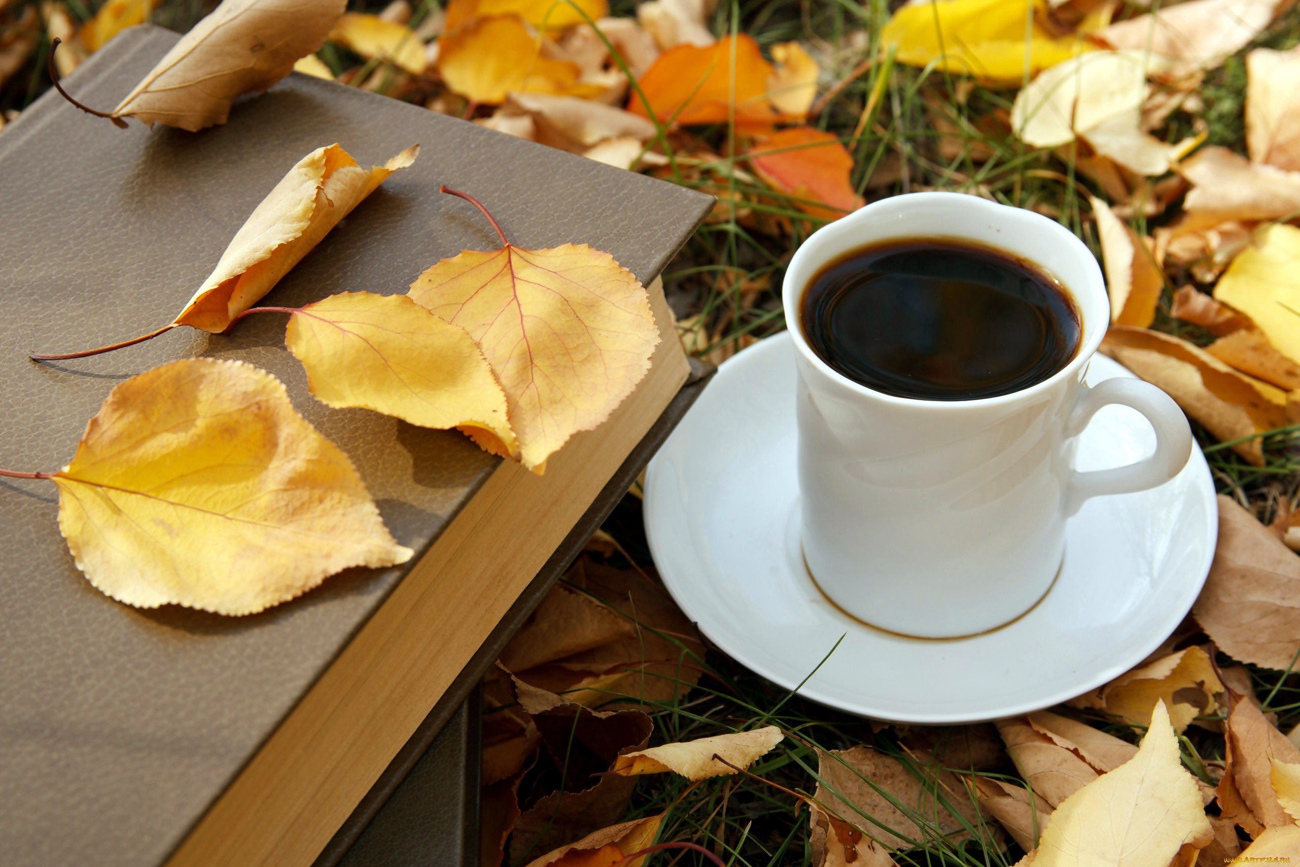 еда, кофе, , кофейные, зёрна, листья, книга, осень