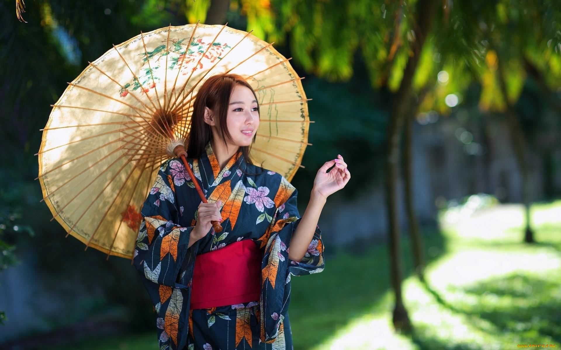 девушки, -, азиатки, кимоно, зонтик
